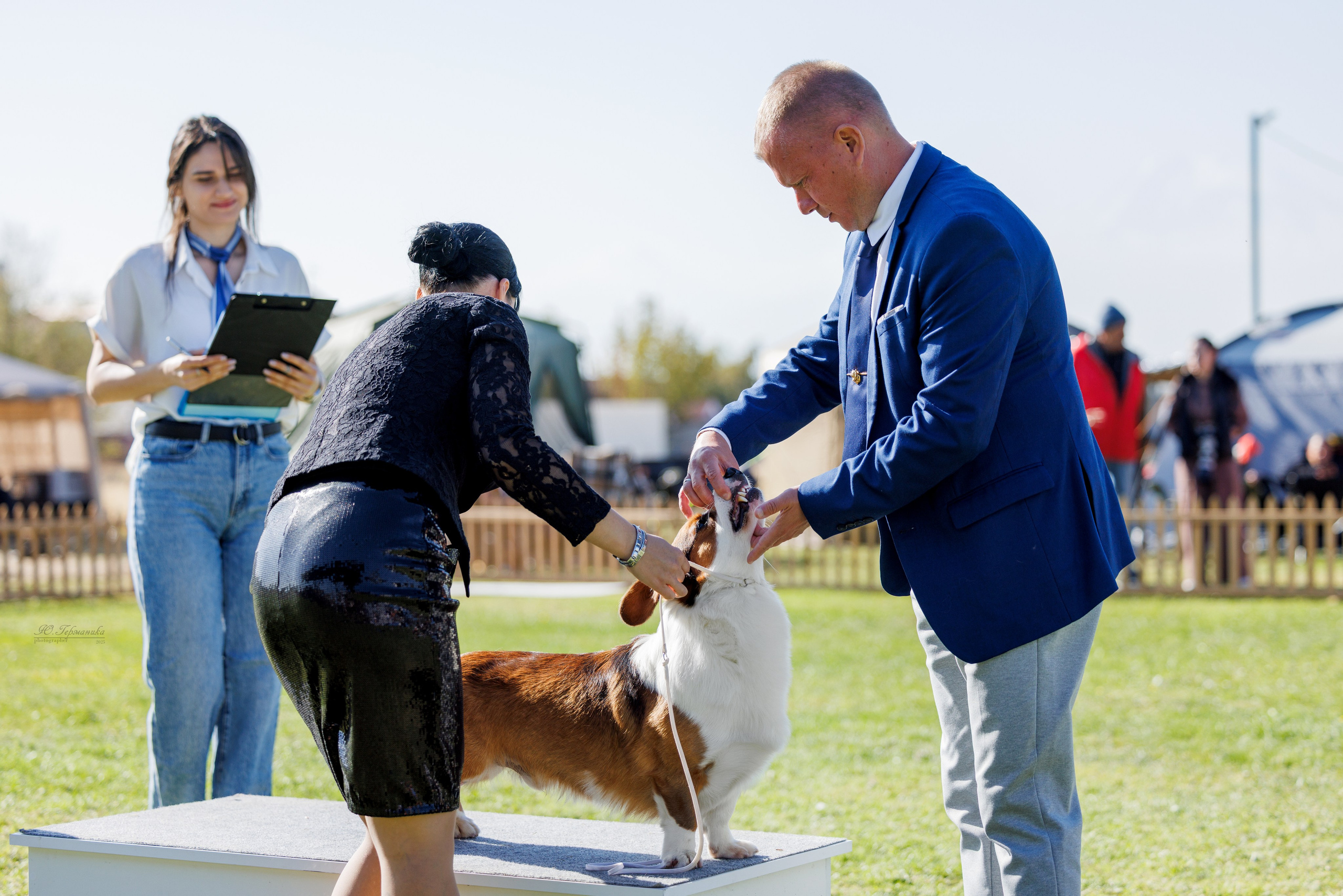 Ереван 14-16.10.2025. Фотограф-анималист Юлия Германика