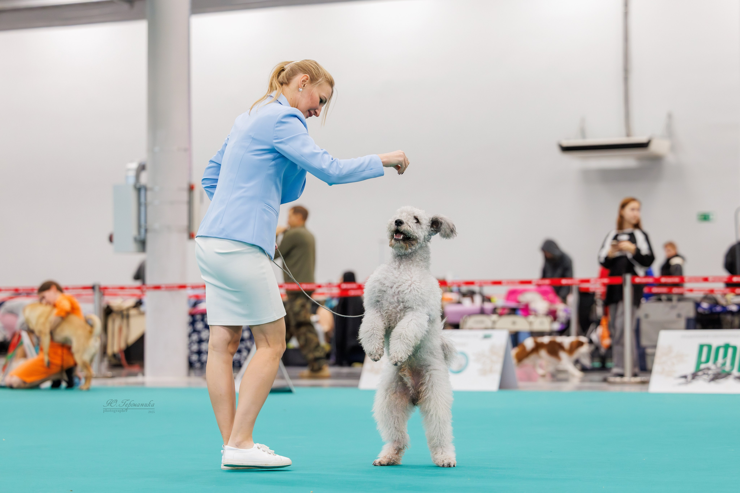 Зилант Казань 29-30.11.2025. Фотограф-анималист Юлия Германика