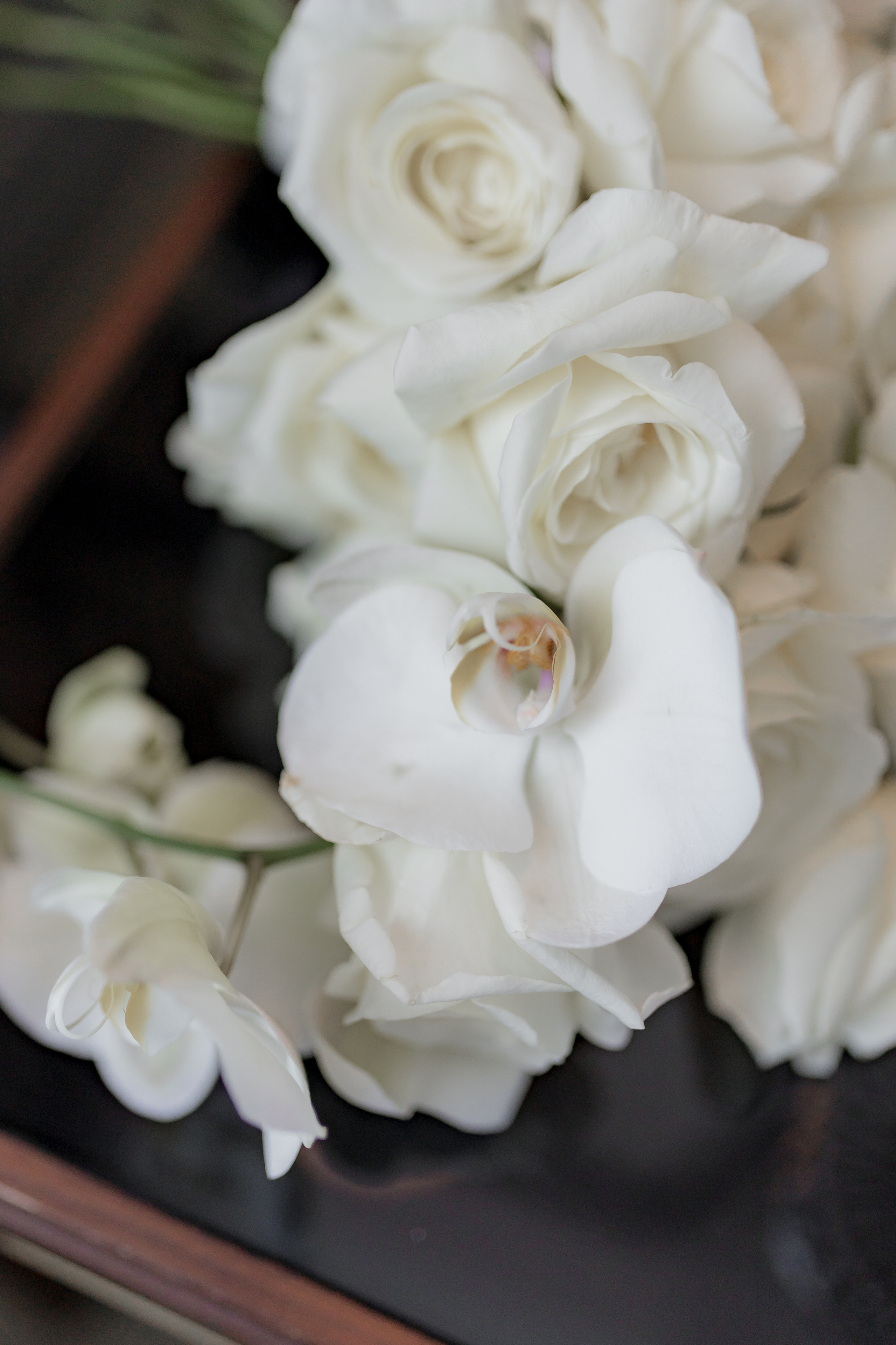 V & A. Свадебный и семейный фотограф в Астрахани Сергунова Наталья