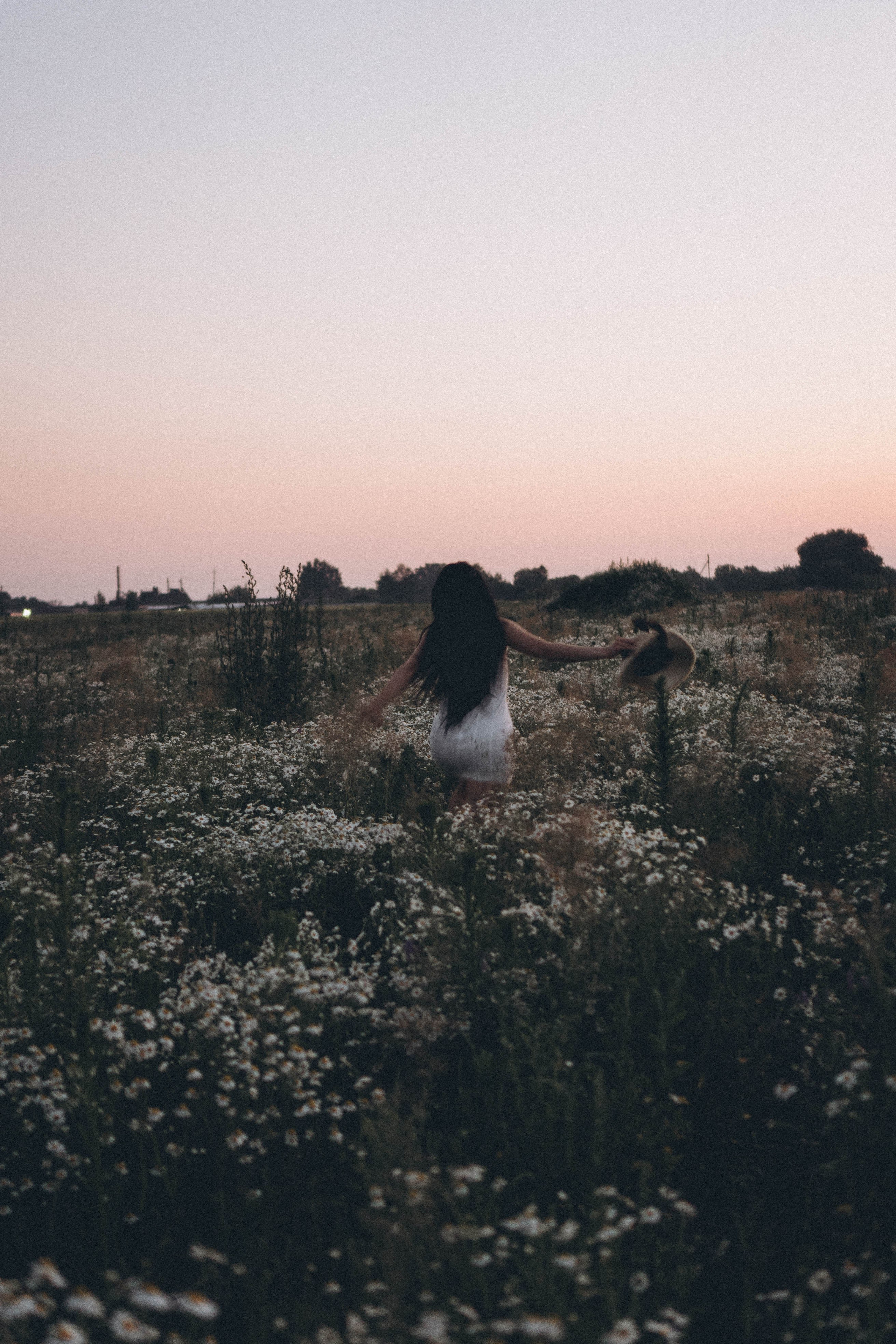 Ромашковое поле. Профессиональный фотограф, Санкт-Петербург — Виктория Богомолова