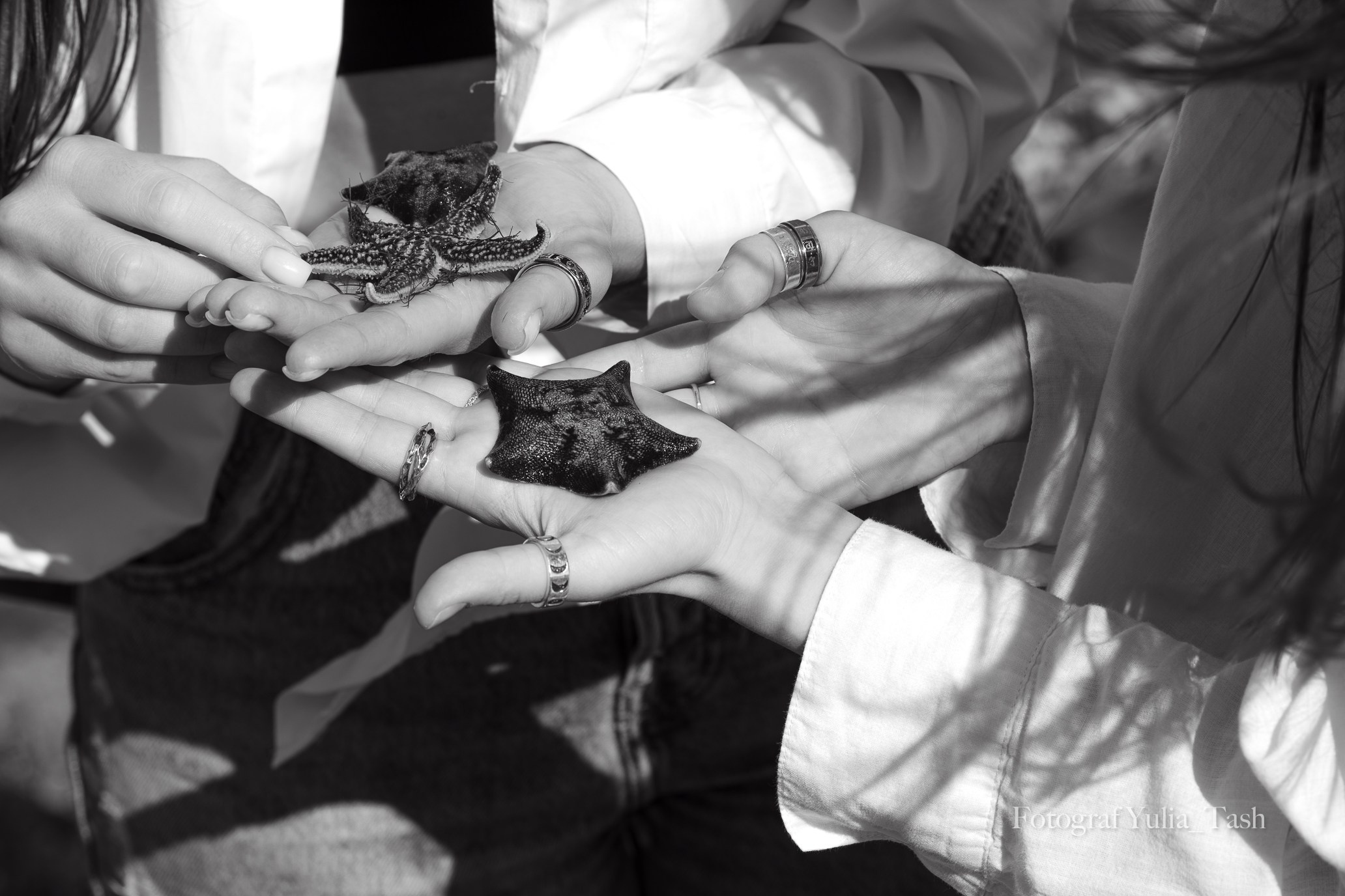 ПОЛИНА. Любимый фотограф