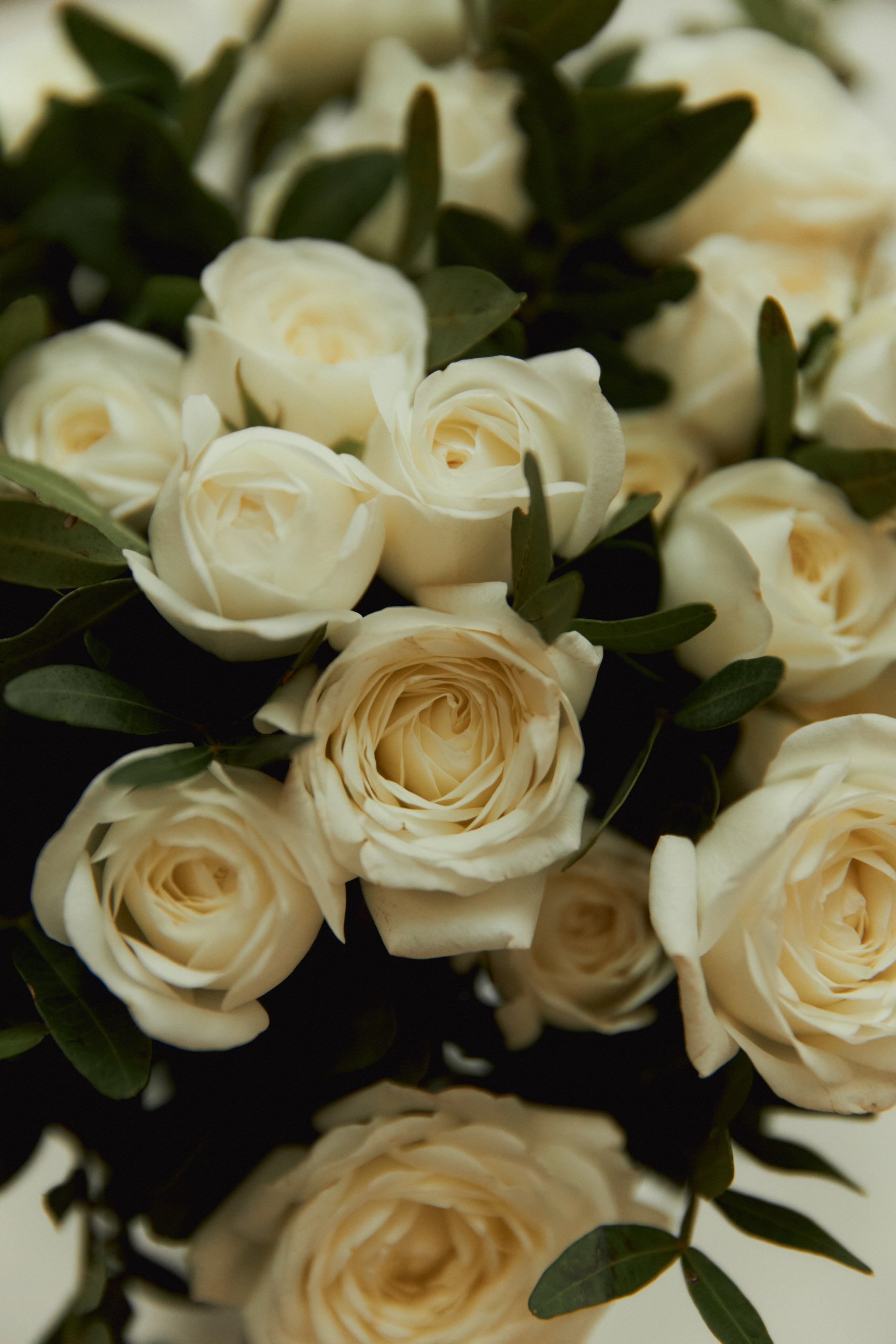 Екатерина и Даниил. Семейный и свадебный фотограф Лилия Матонина | Ангарск, Иркутск, Усолье-Сибирское, Байкал (Листвянка, Ольхон), Иркутская область