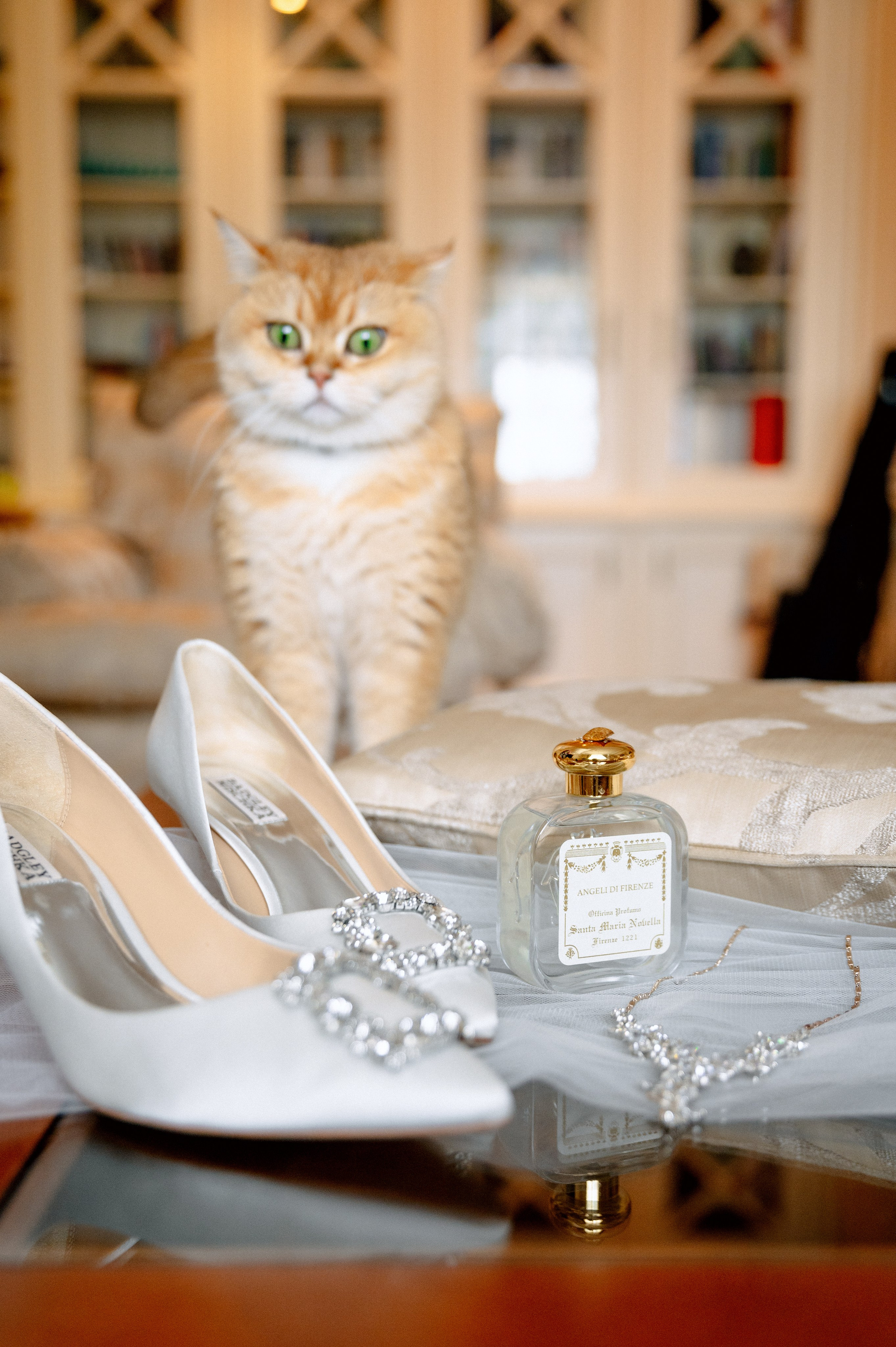 ЯНА и ЖЕНЯ. Шашкова Вероника / Свадебный и семейный фотограф Москва и Ярославль