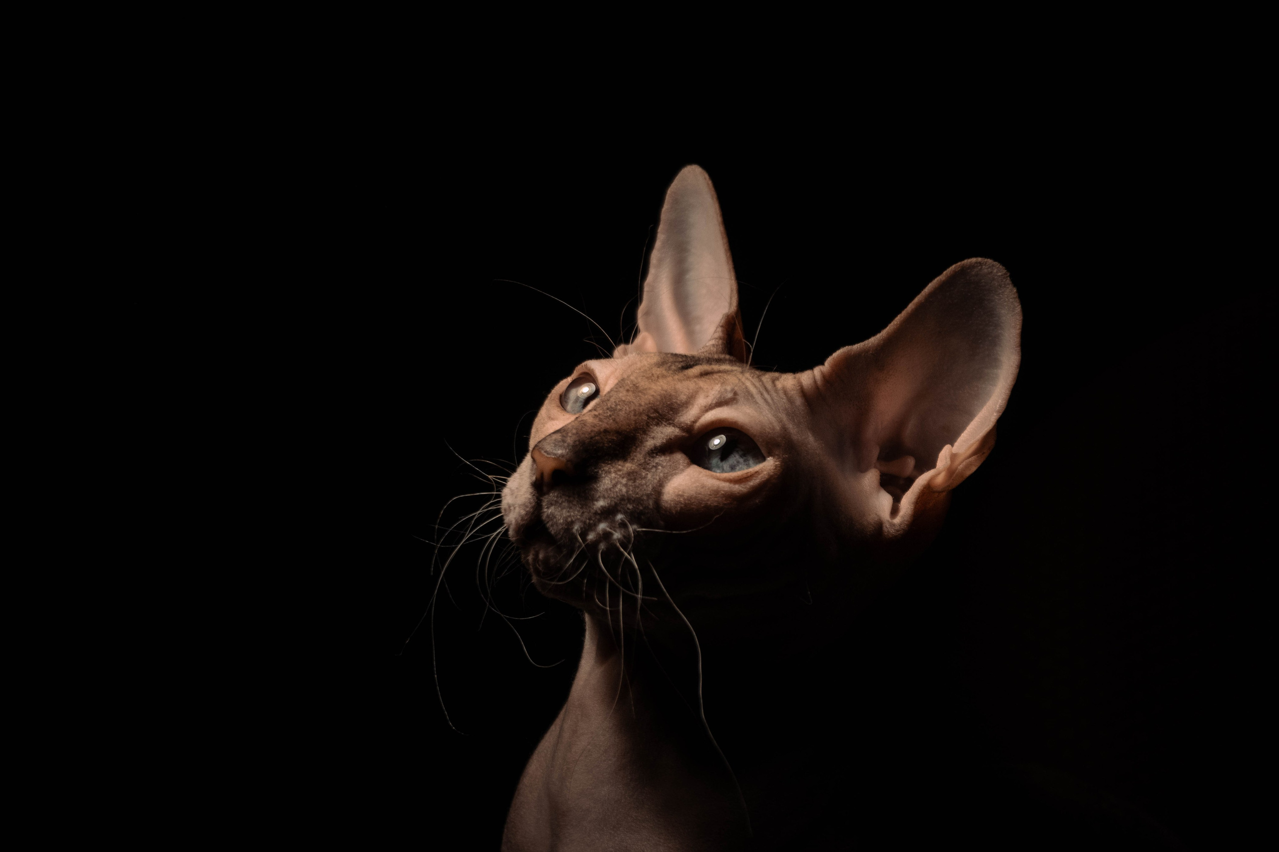 Все в перемешку. Фотограф Крутой Максим