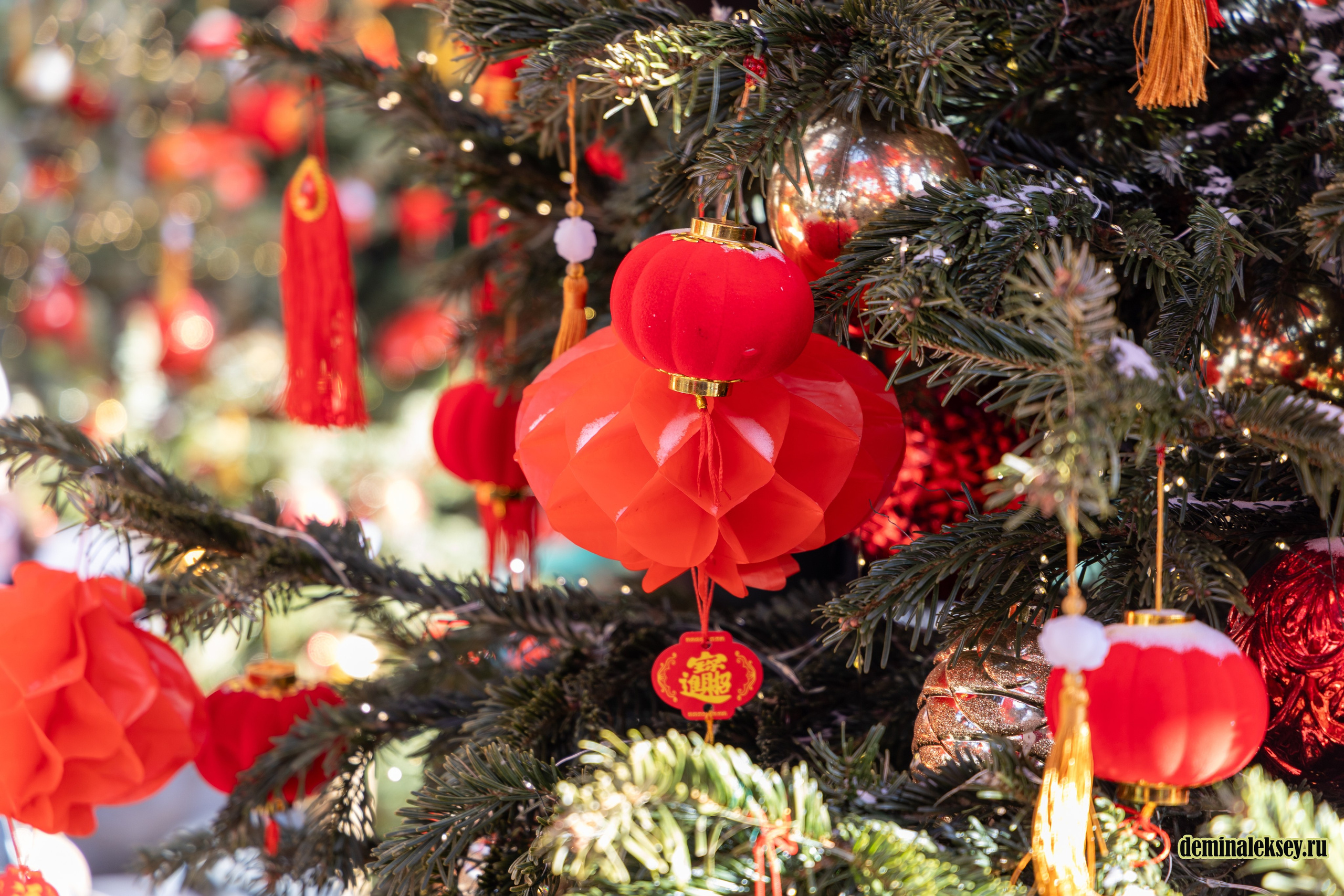 Китайский Новый год в Москве 2026. Репортажный, семейный и студийный фотограф в Москве Демин Алексей