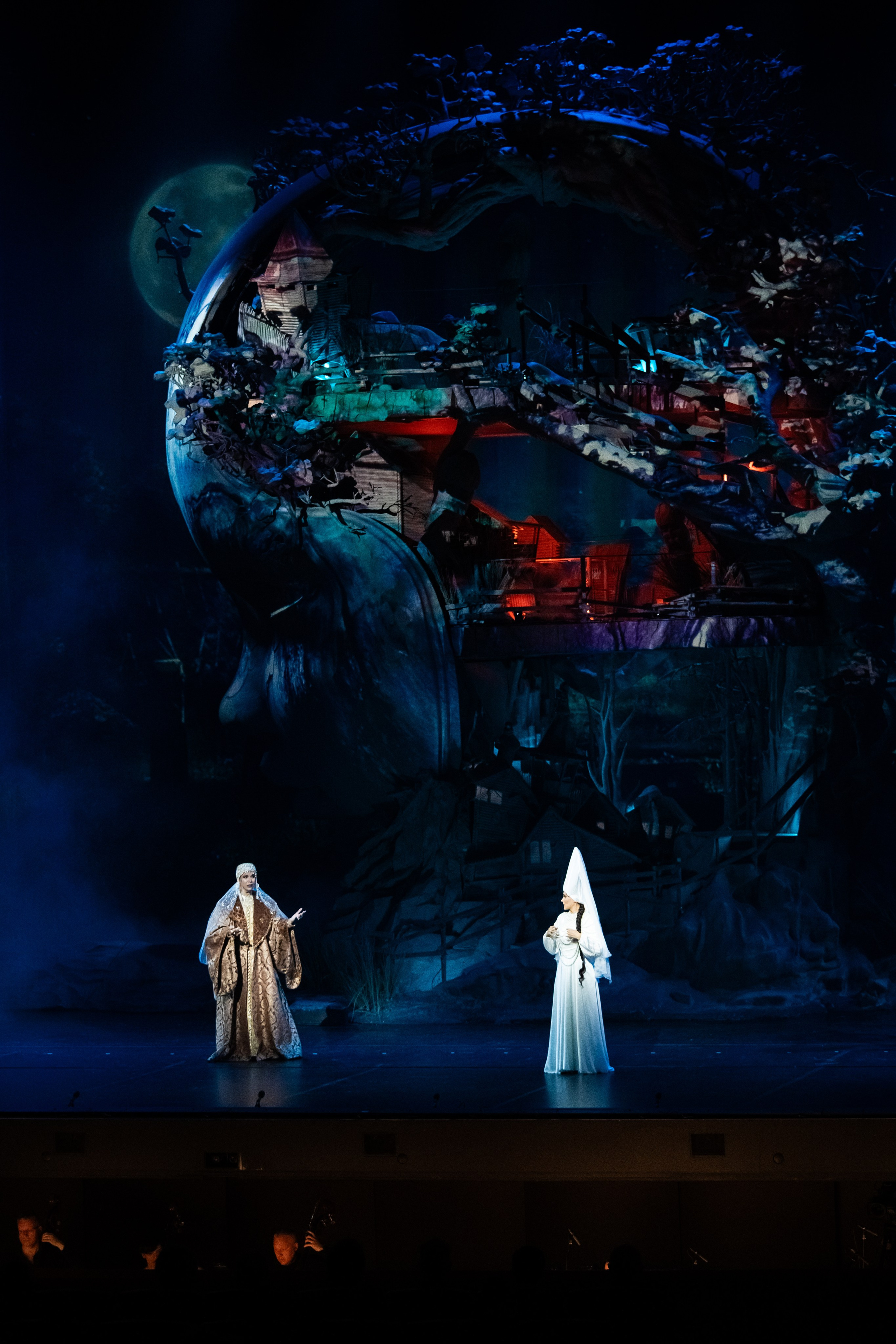 Мандрагора. Фотограф и видеограф Евгений Романов Санкт-Петербург