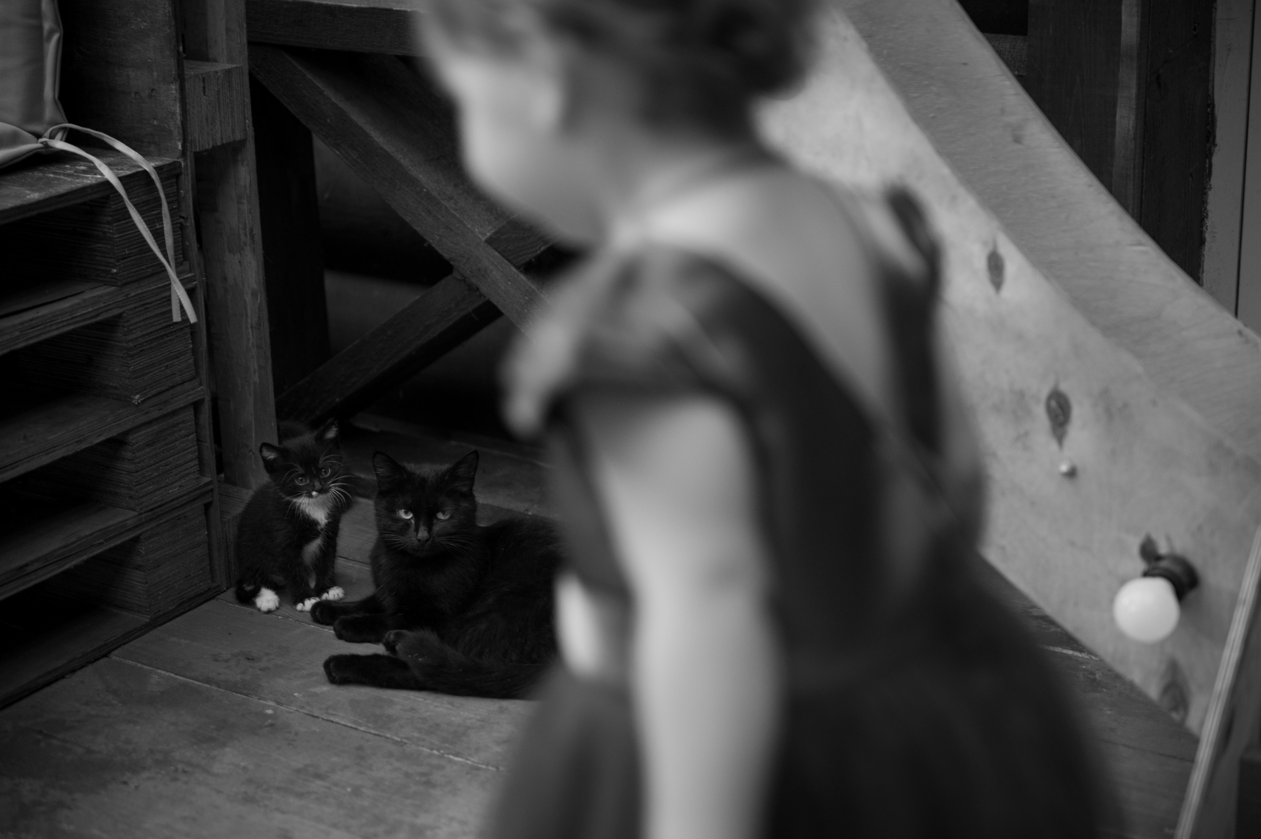 Екатерина и Сергей. Свадебный и портретный фотограф в Москве Жердев Даниил