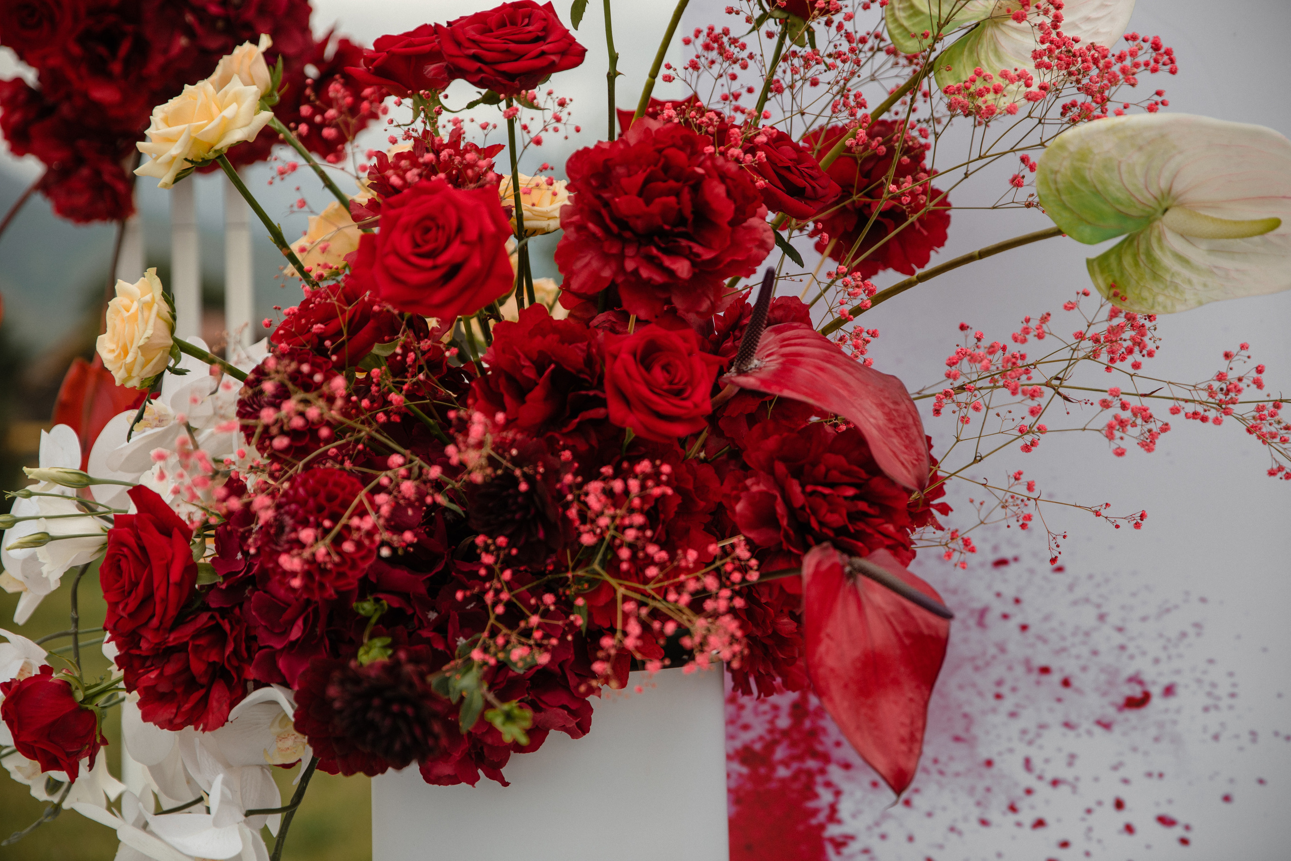 Анонс свадьбы Александр и Жибек. Свадебный фотограф в Алматы Николай Киреев