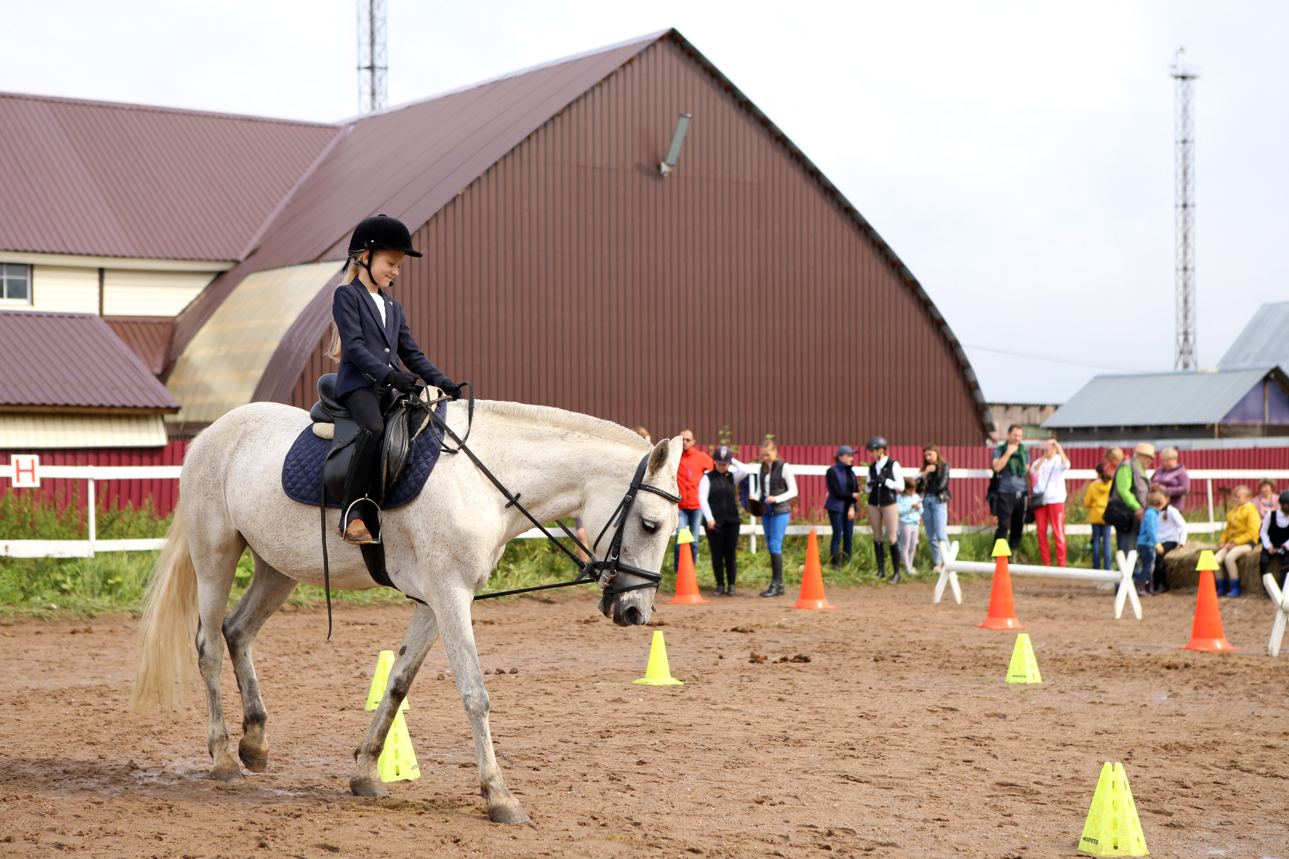 Наша жизнь. КСК Тагир