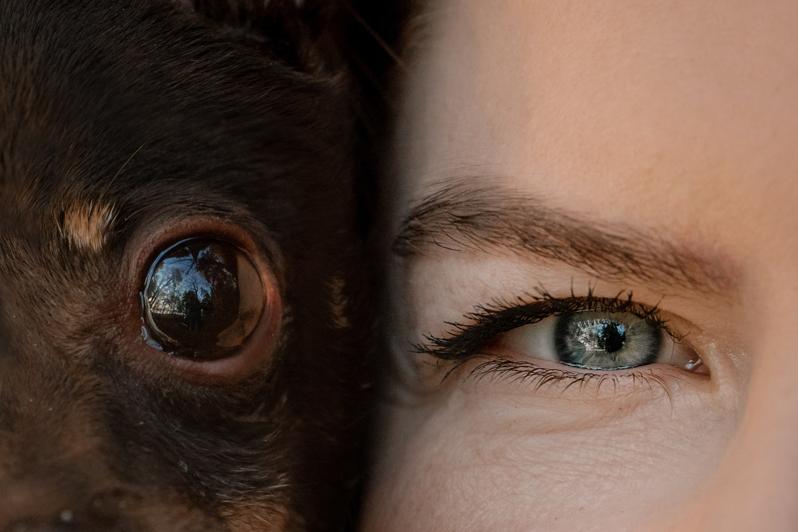 Марина и Мышка. Фотограф анималист в Москве и Санкт-Петербурге Свиридова Анна