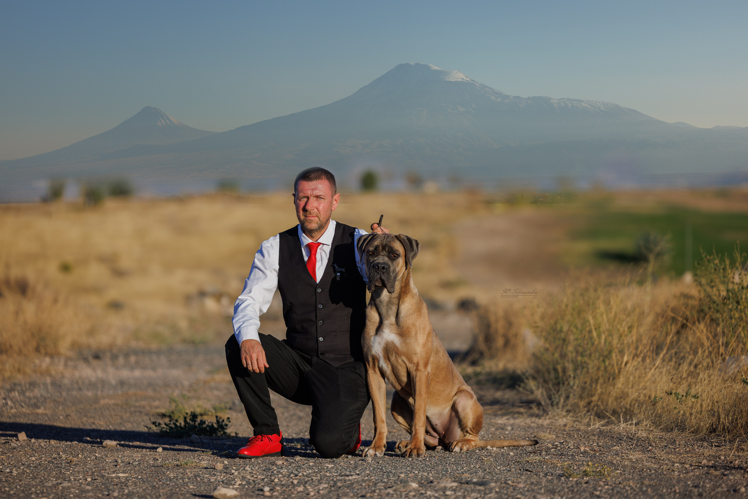 Ереван 14-16.10.2025. Фотограф-анималист Юлия Германика