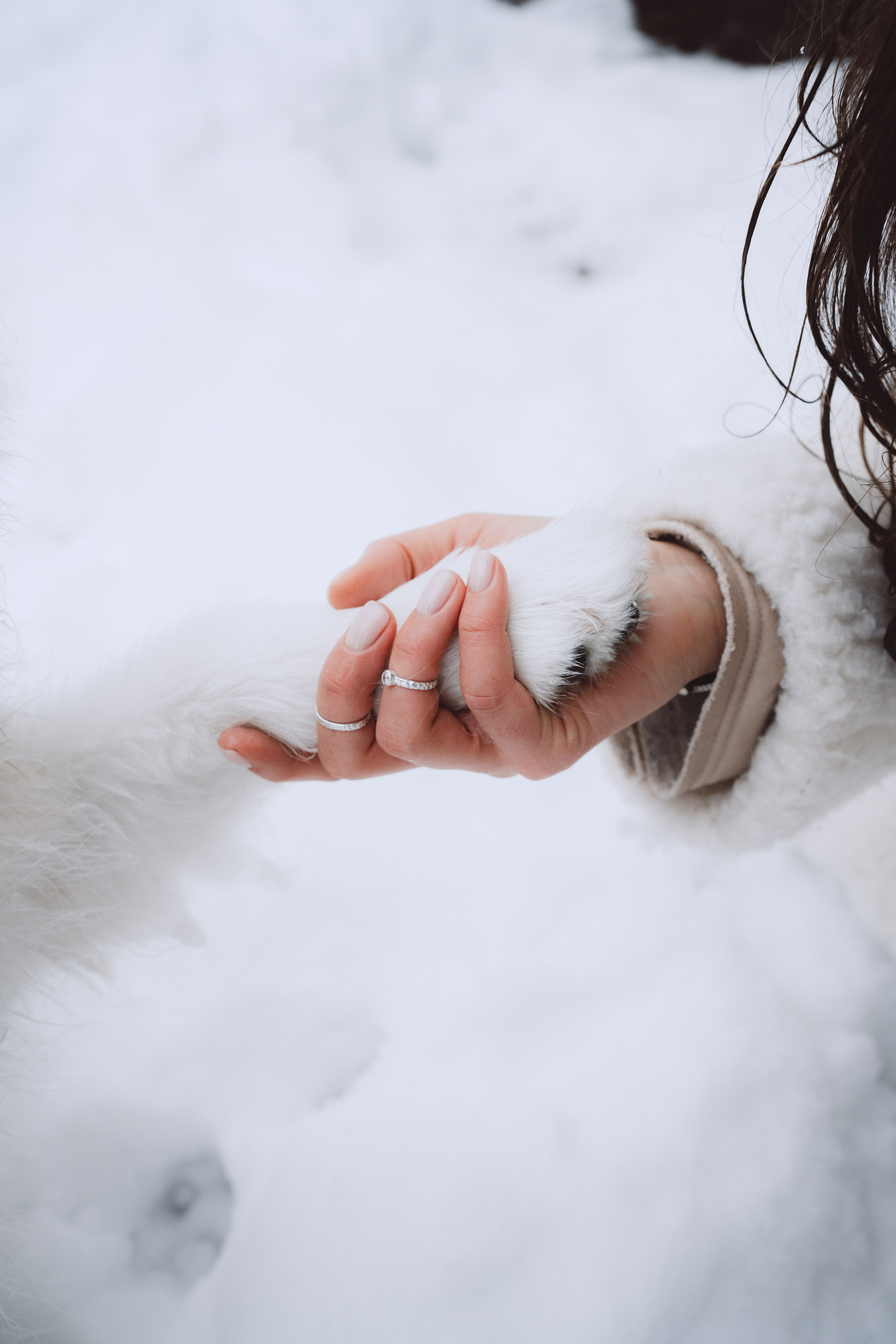 Антон, Дарья и Шани. Фотограф в Сочи Щетинина Анастасия