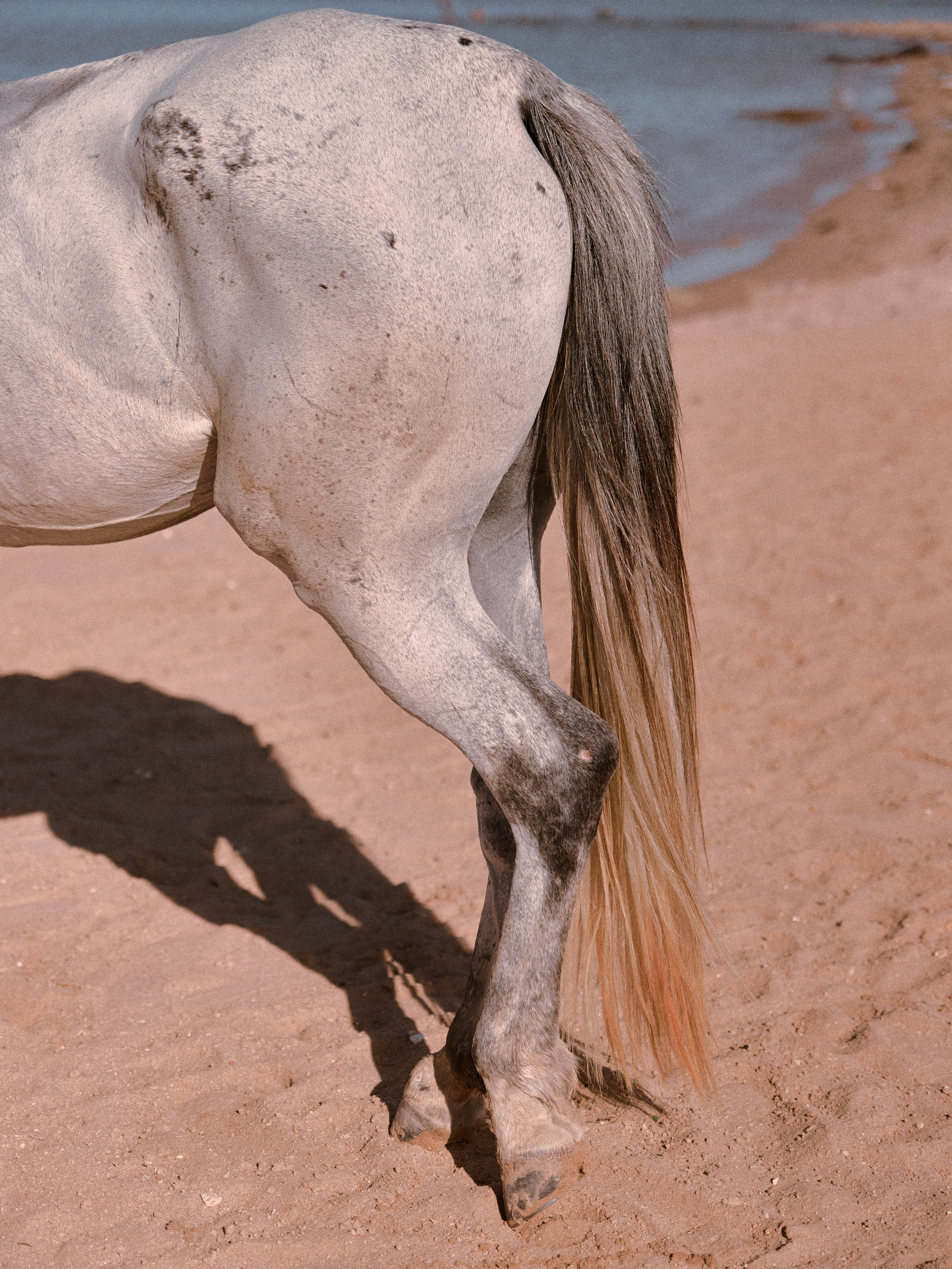 Другое 2. Jorgis Talè — photographer, kind person, teacher of arts and other mag