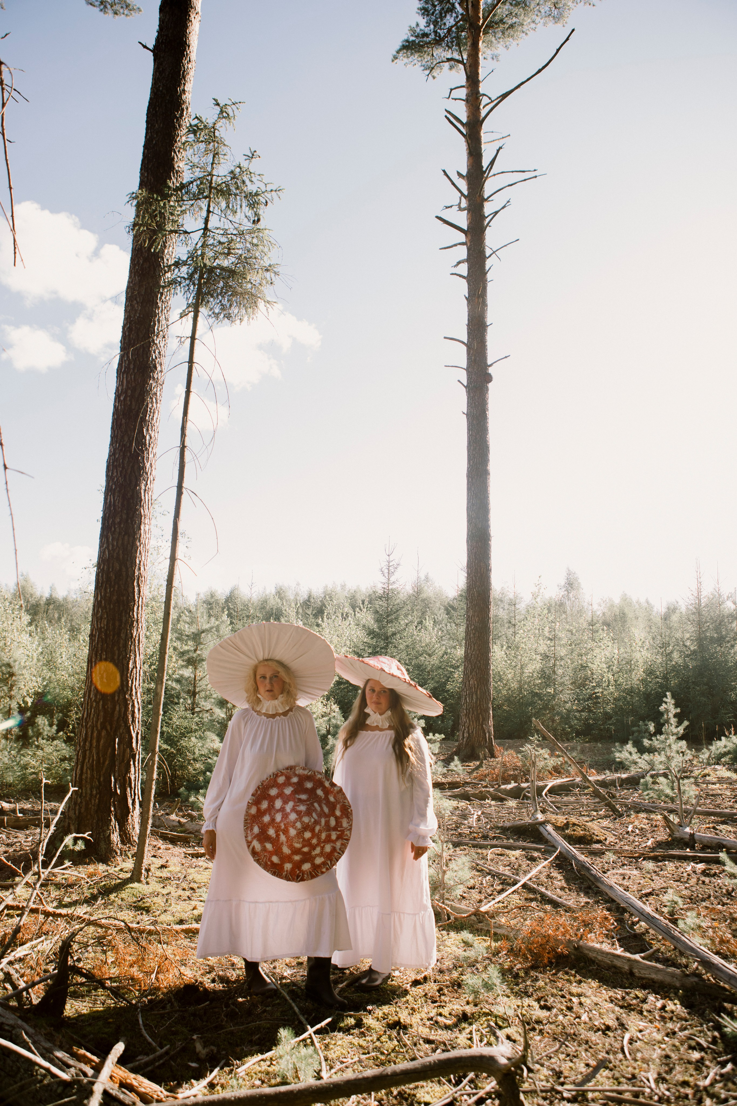 Грибы. Ольга Пилант. АРТ, бэкстейдж, свадебная и семейная фотография, городской портрет, интерьерная фотография