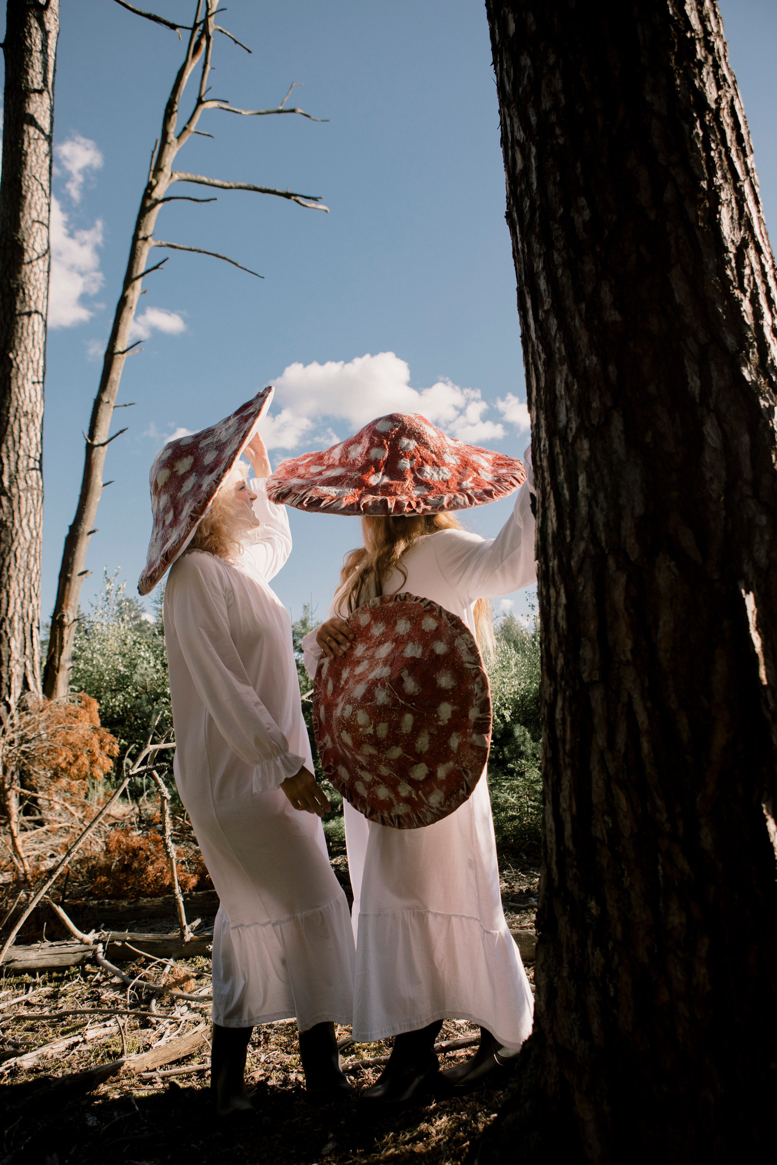 Грибы. Ольга Пилант. АРТ, бэкстейдж, свадебная и семейная фотография, городской портрет, интерьерная фотография