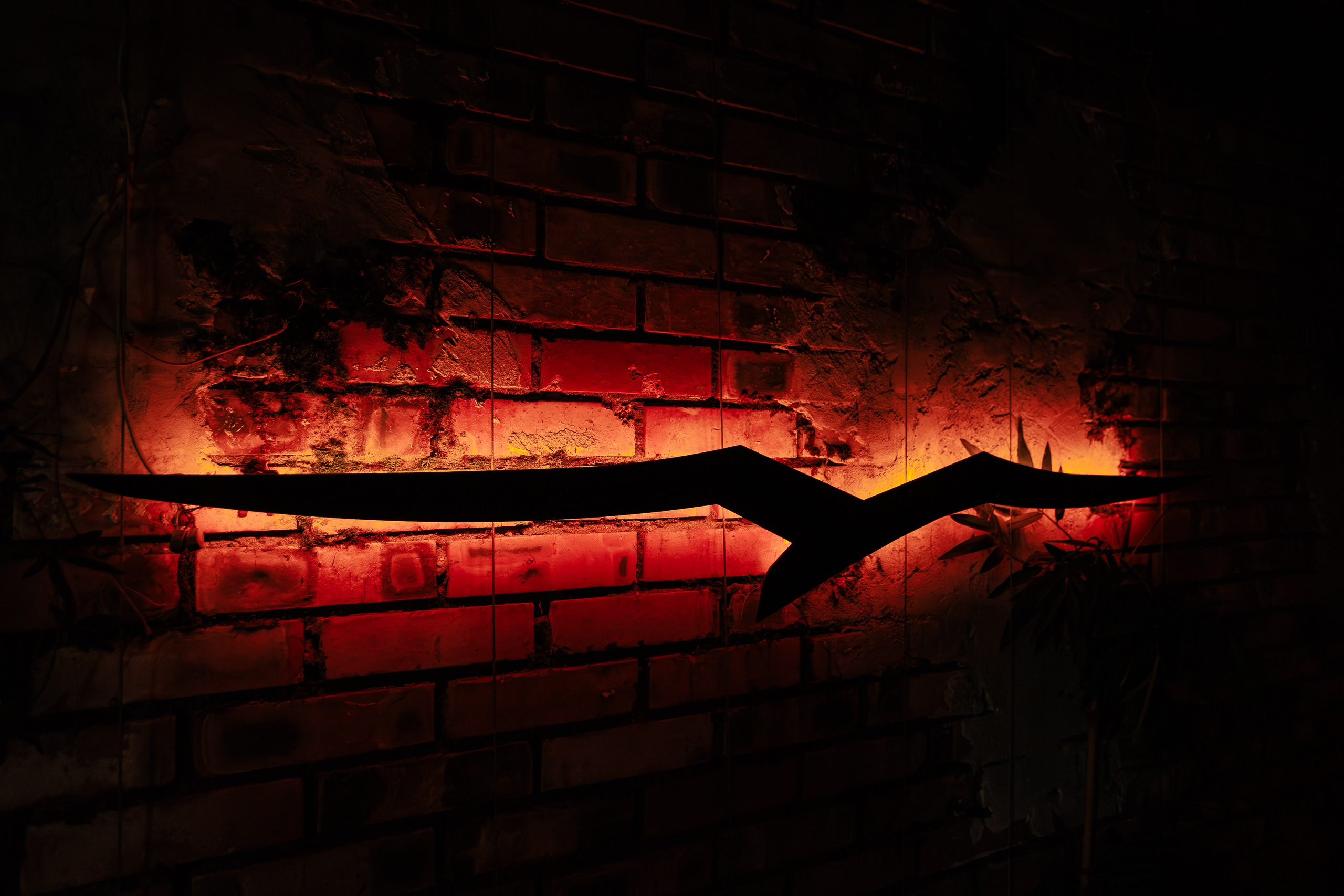 «LYRIQ"_Чайка на пляже_Ялта_15.08.2025 г. Аминов Руслан | Фотограф