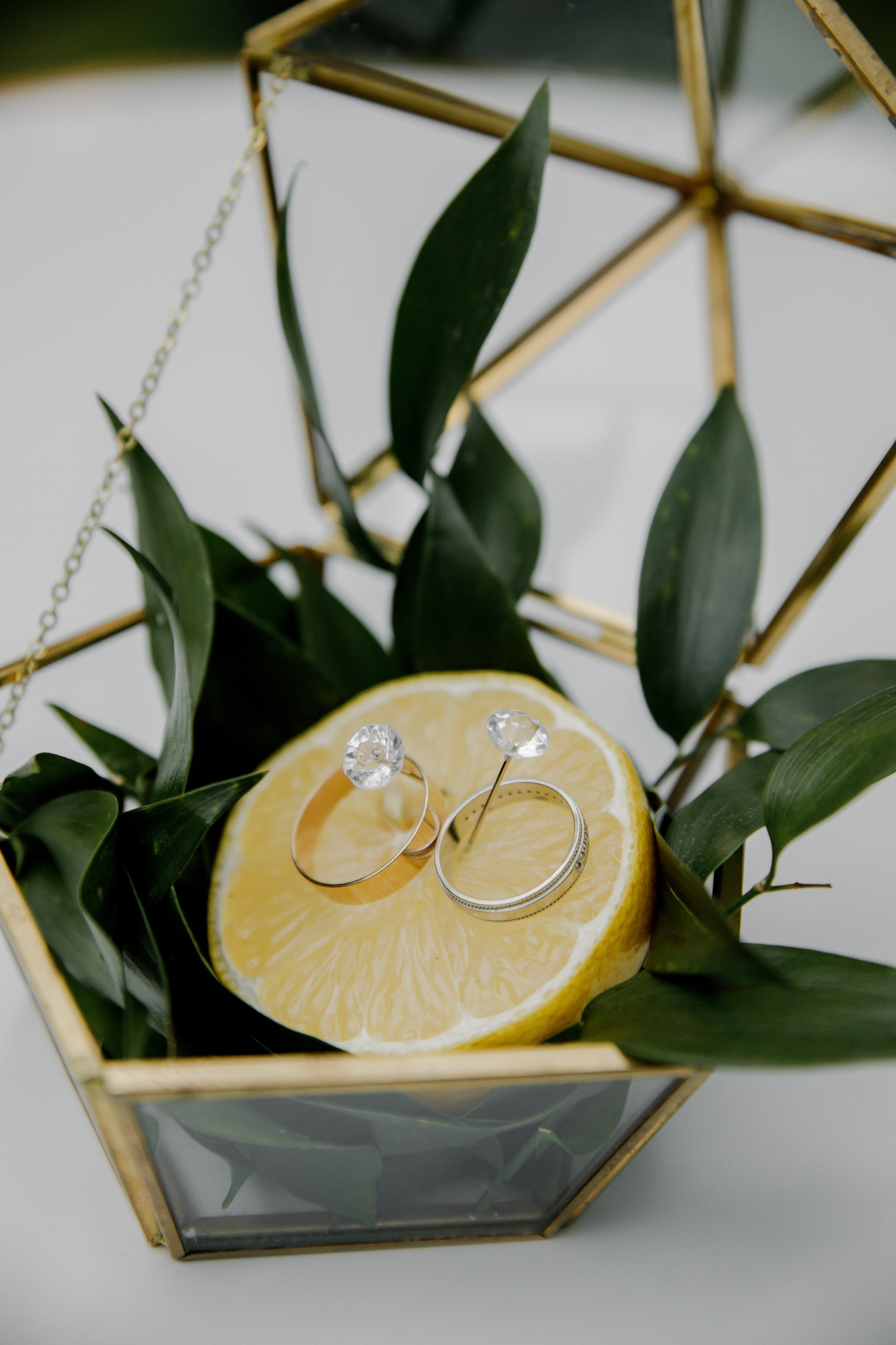 Маргарита и Денис. Фотограф в Полоцке Новополоцк Минск