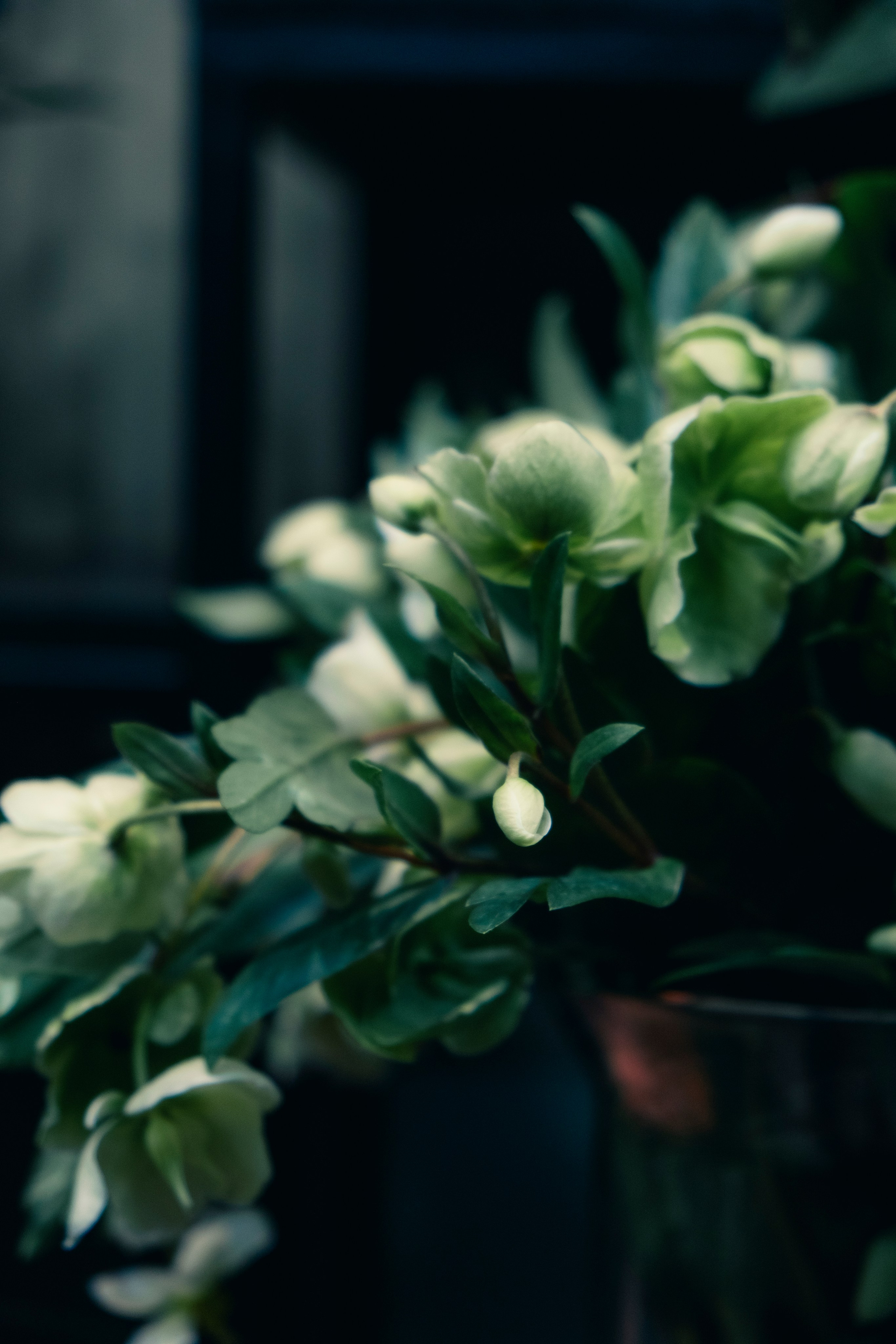 Контент-съемка. Портретный и fashion-фотограф в Санкт-Петербурге Олеся Поле