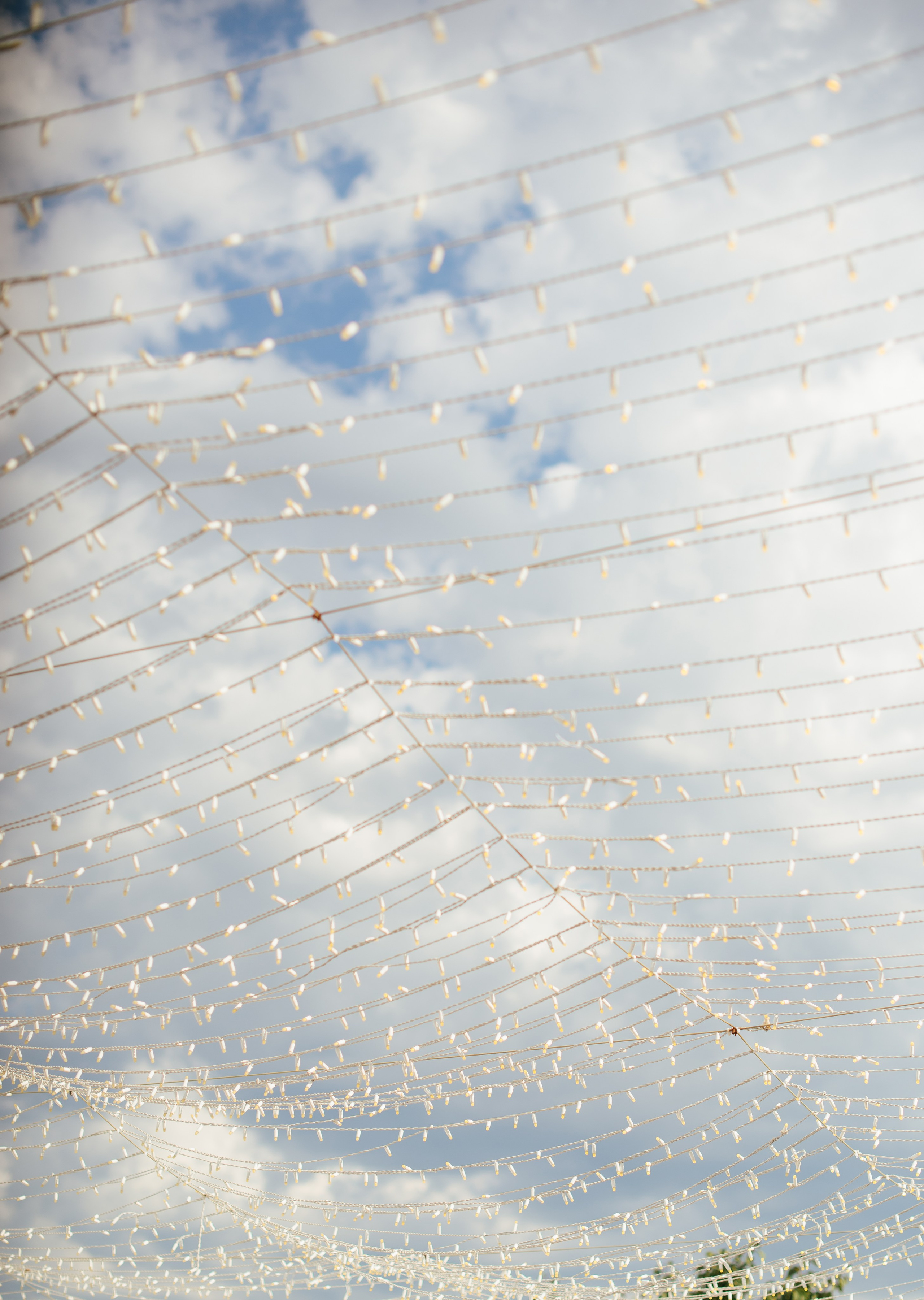 Дмитрий и Ангелина (г. Севастополь). Свадебный, женский, семейный фотограф в Севастополе Юлия Мошенко