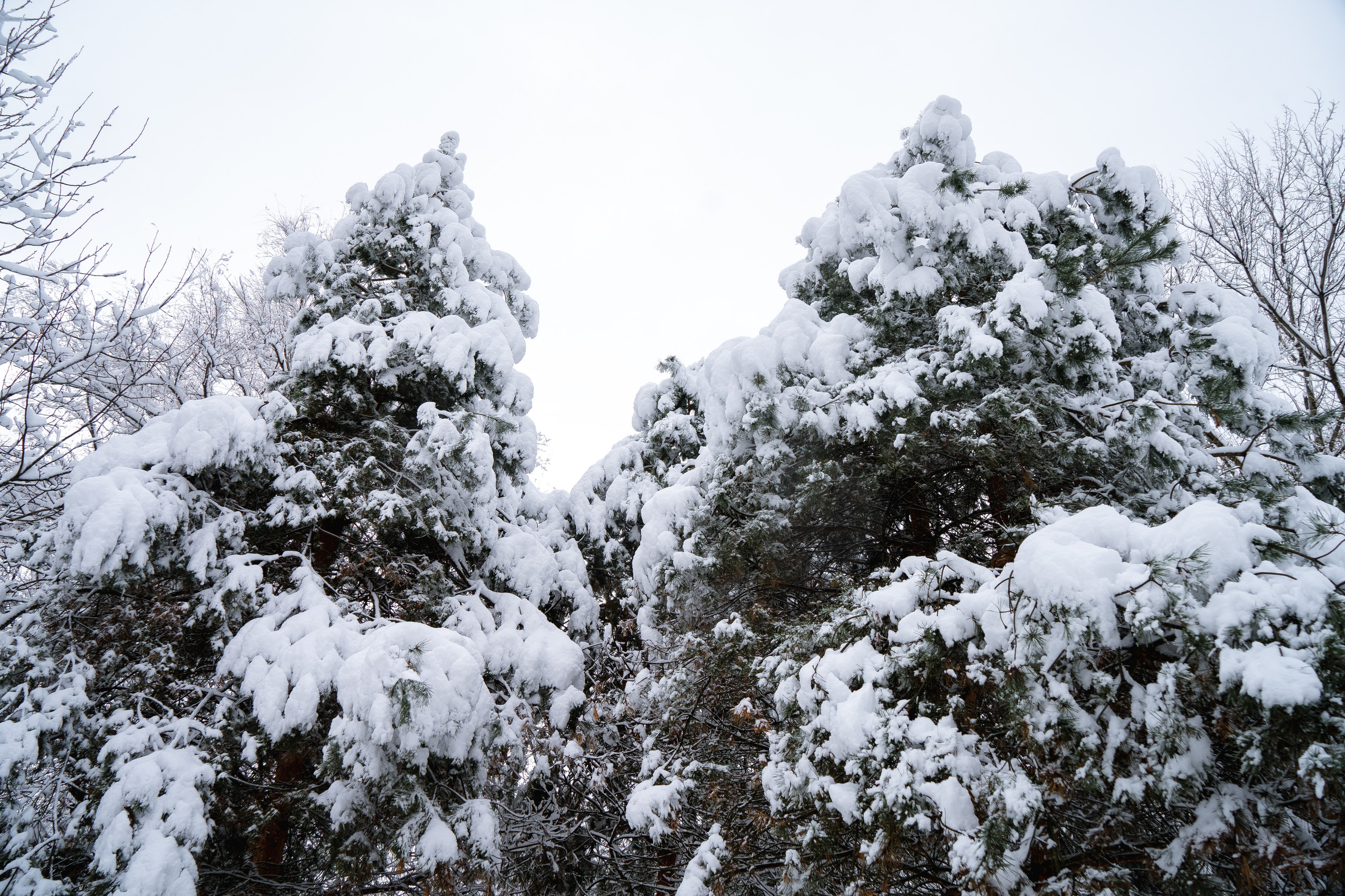 Зима 2024. Свадебный и семейный фотограф/видеограф в Краснодаре Наталья Осинская