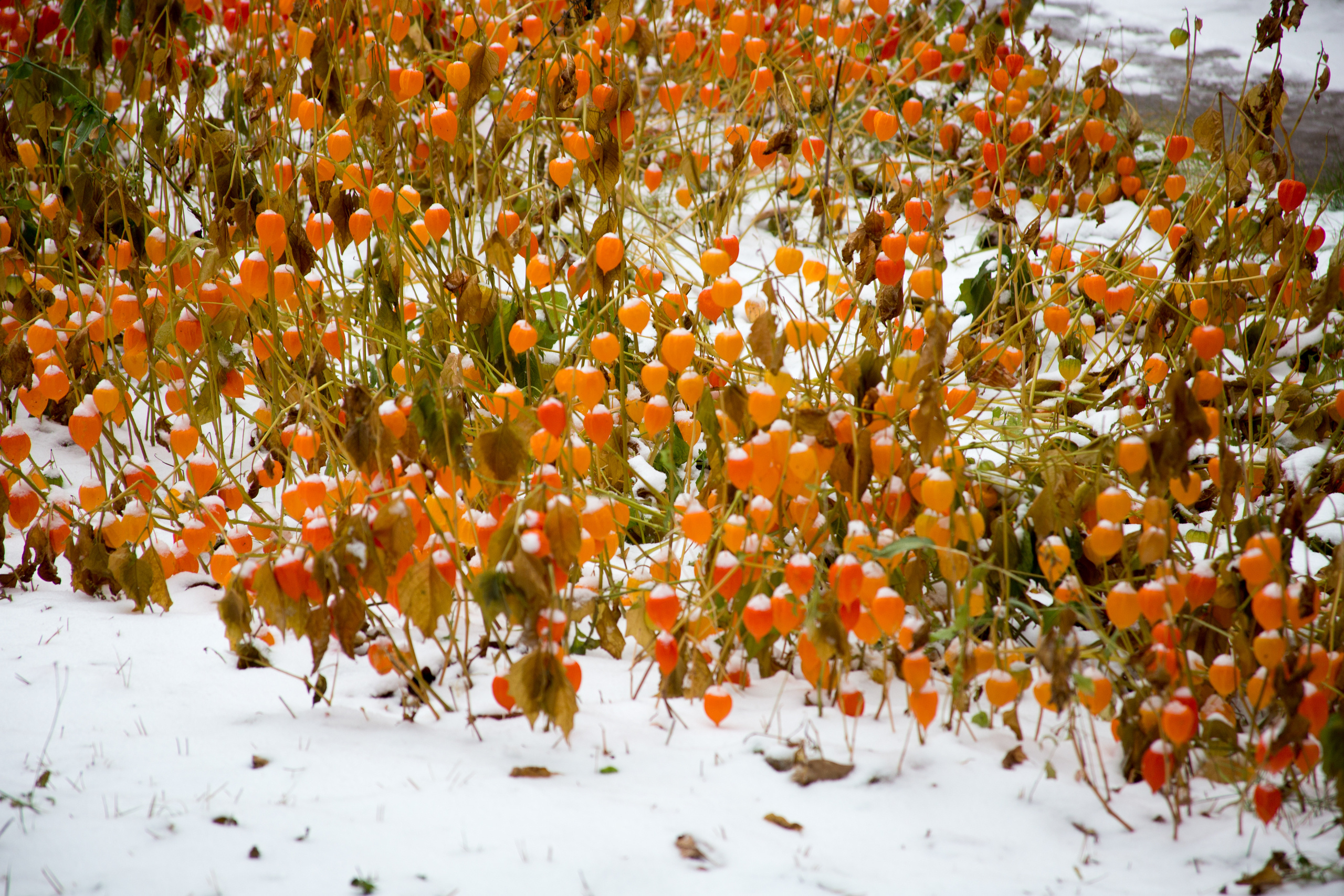 Экскурсия по дворам Мотовилихи в Перми. Фотограф Никита Попов. Фотограф Пермь. Фотосессия в фотостудии Перми и на свежем воздухе