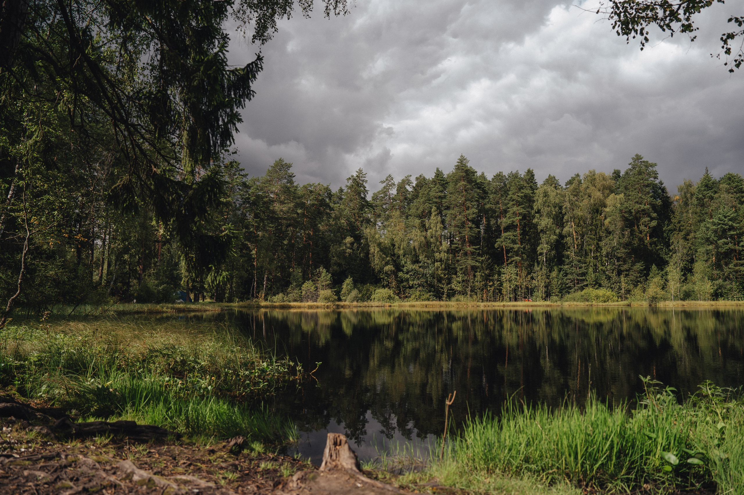 Счастье. Фотограф Екатерина Канчалаба