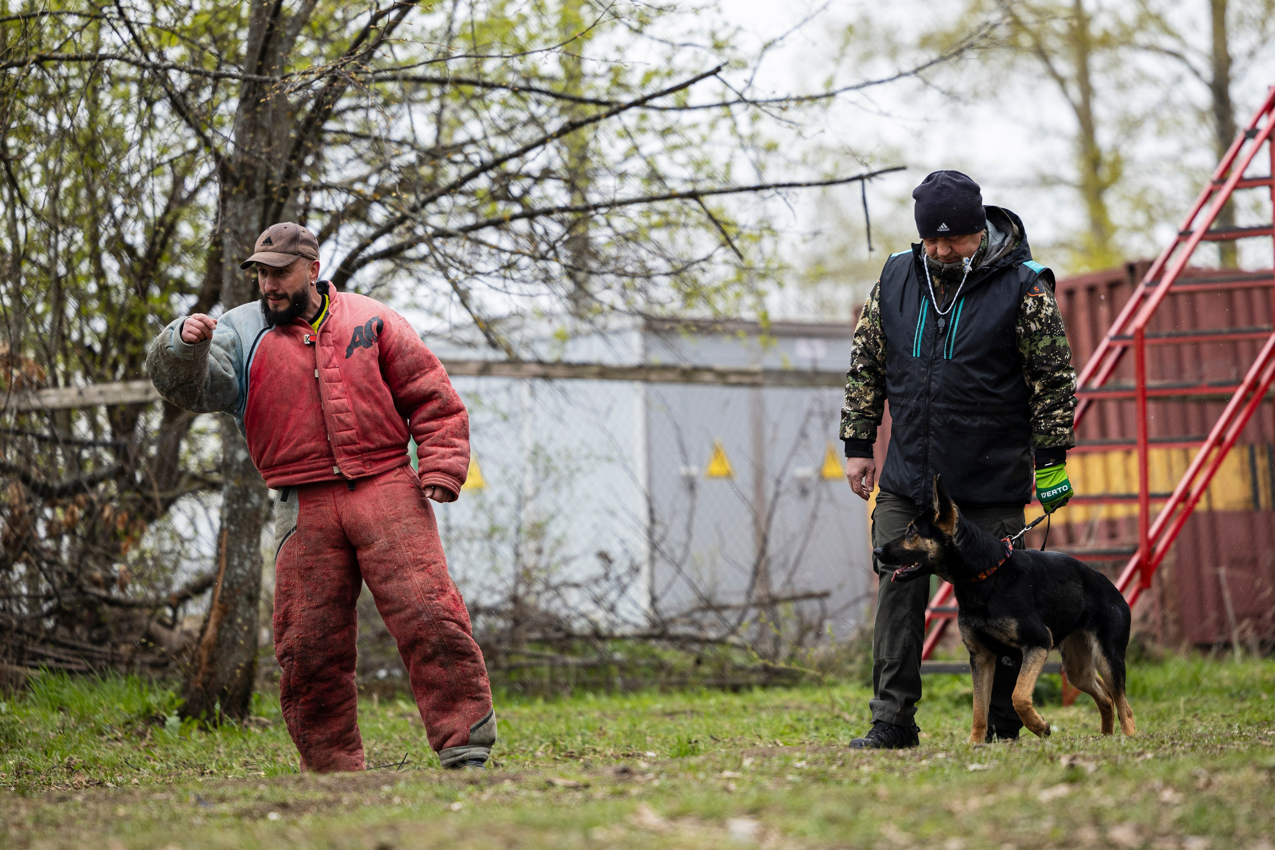 Квалификационные состязания по мондьорингу г. Вологда 11.05.24. Фотограф-анималист Анна Маринич