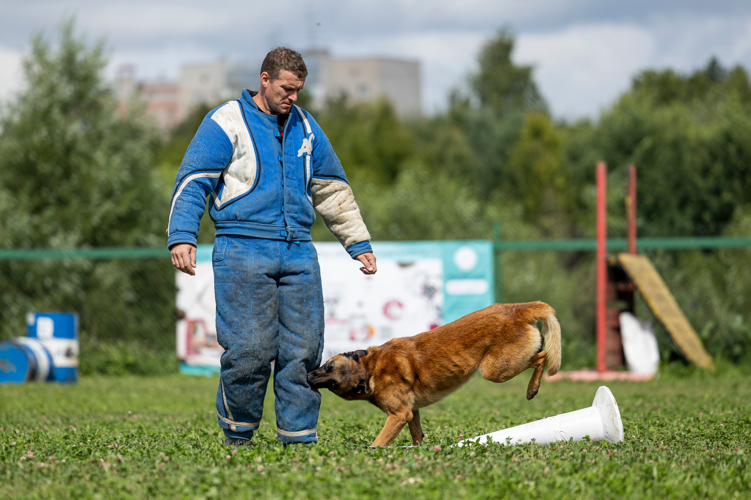 Соревнования по Мондьорингу г. Вологда 10-11.08.2024. Фотограф-анималист Анна Маринич
