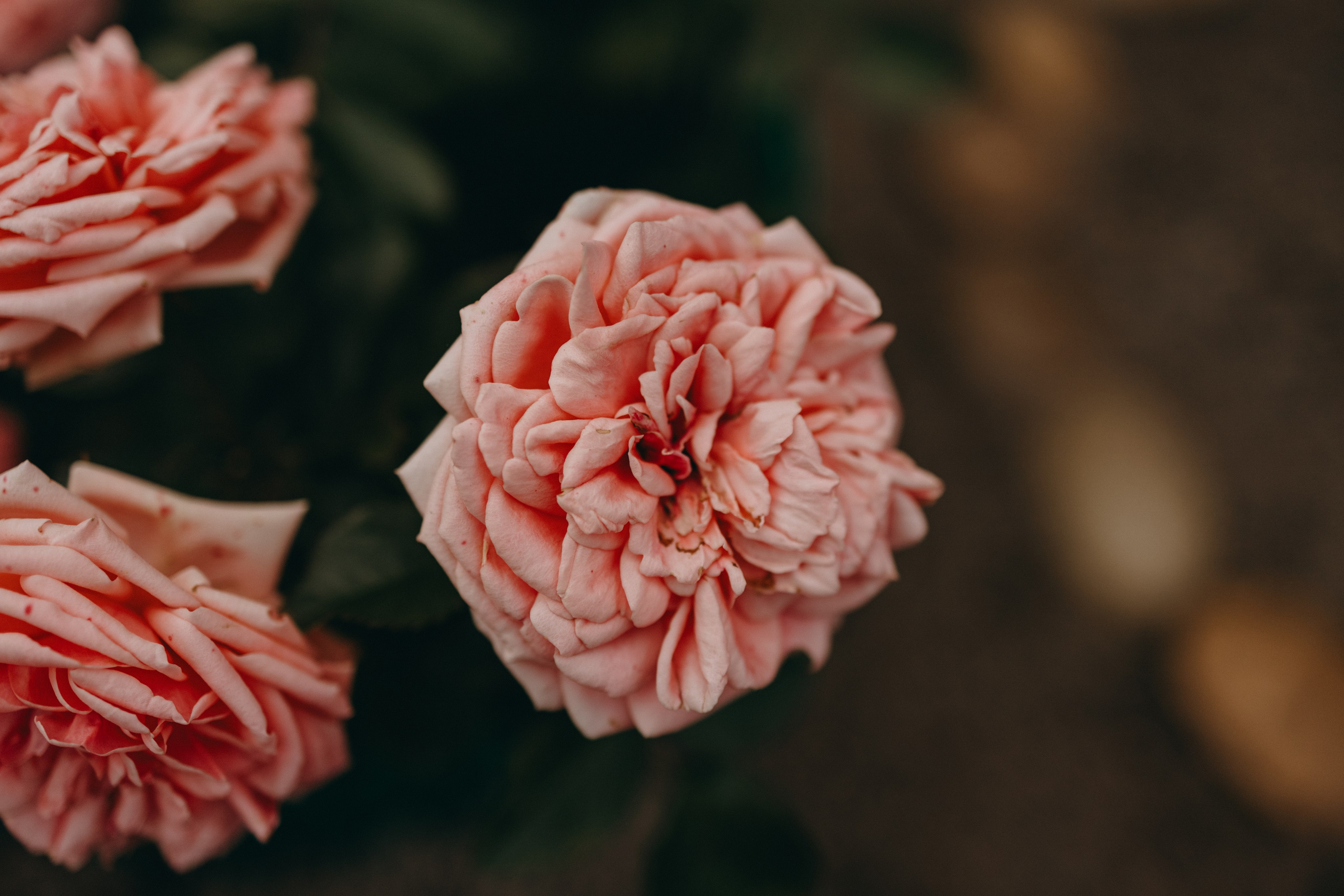 Дом у реки. Фотограф — Анималист | Санкт-Петербург