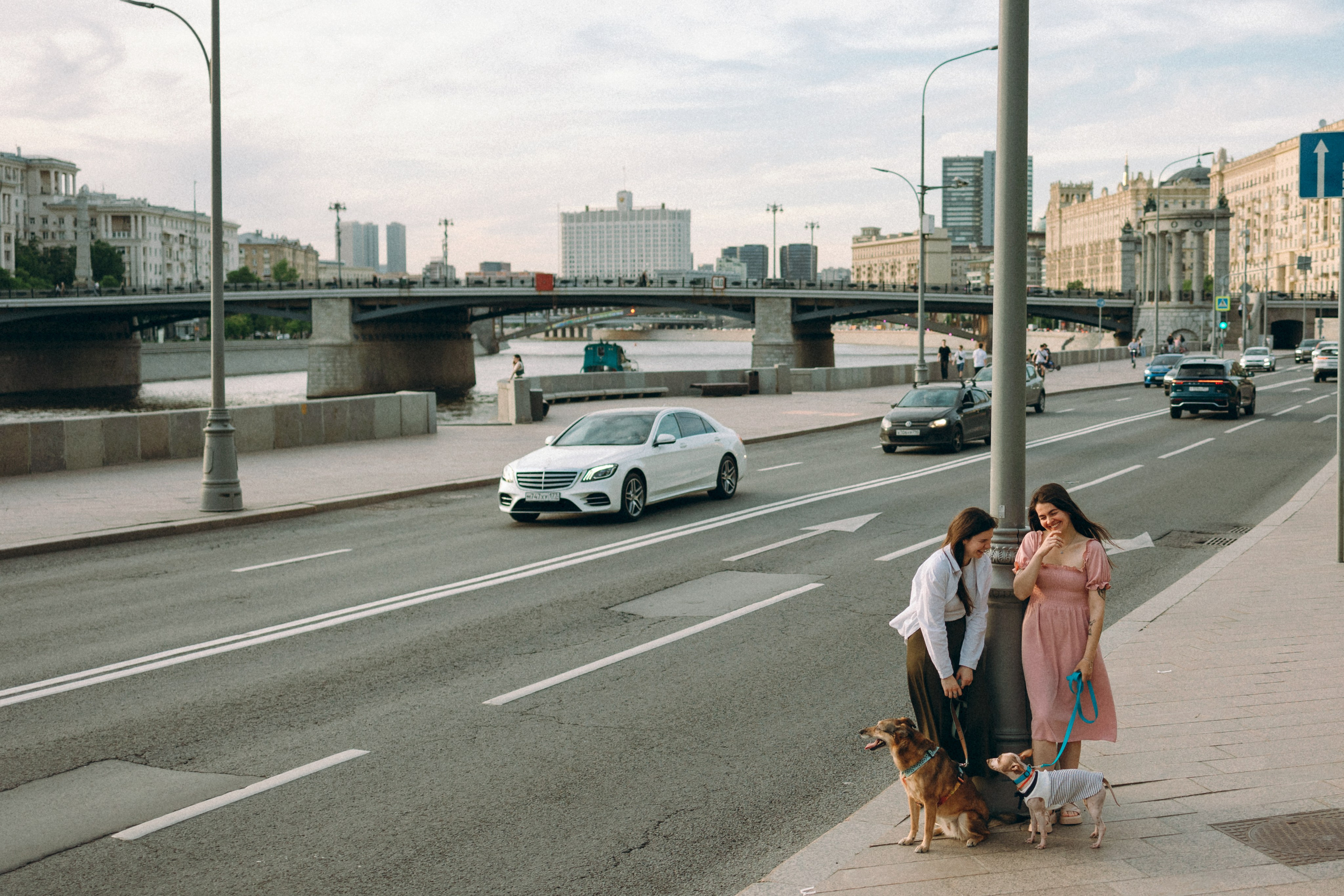 Глаша, Айрон, Ксюша и Оля. Фотограф анималист Анастасия Пикей