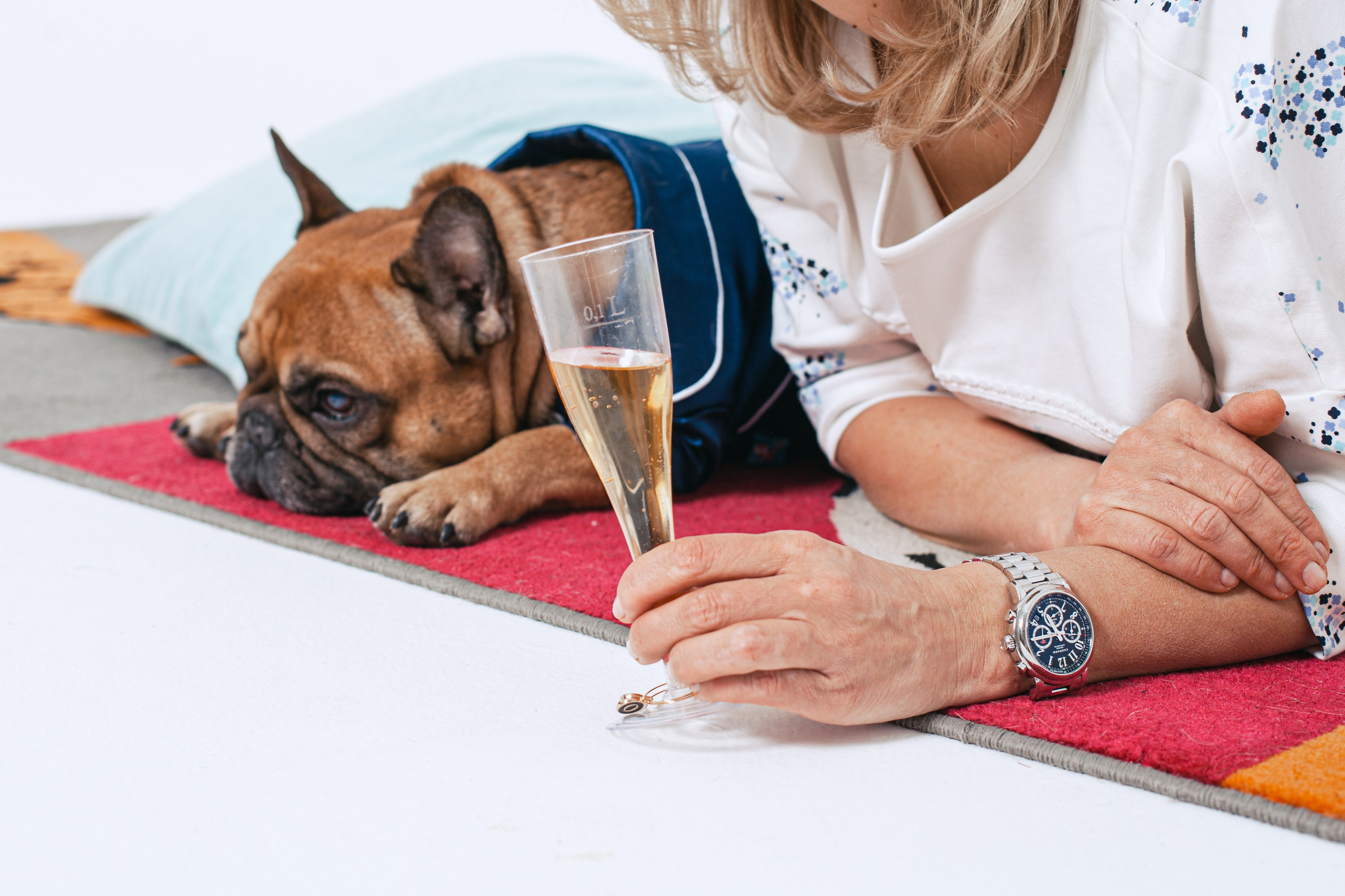 Пижамная вечеринка французских бульдогов и их хозяев. Фотограф-анималист Татьяна Степанова