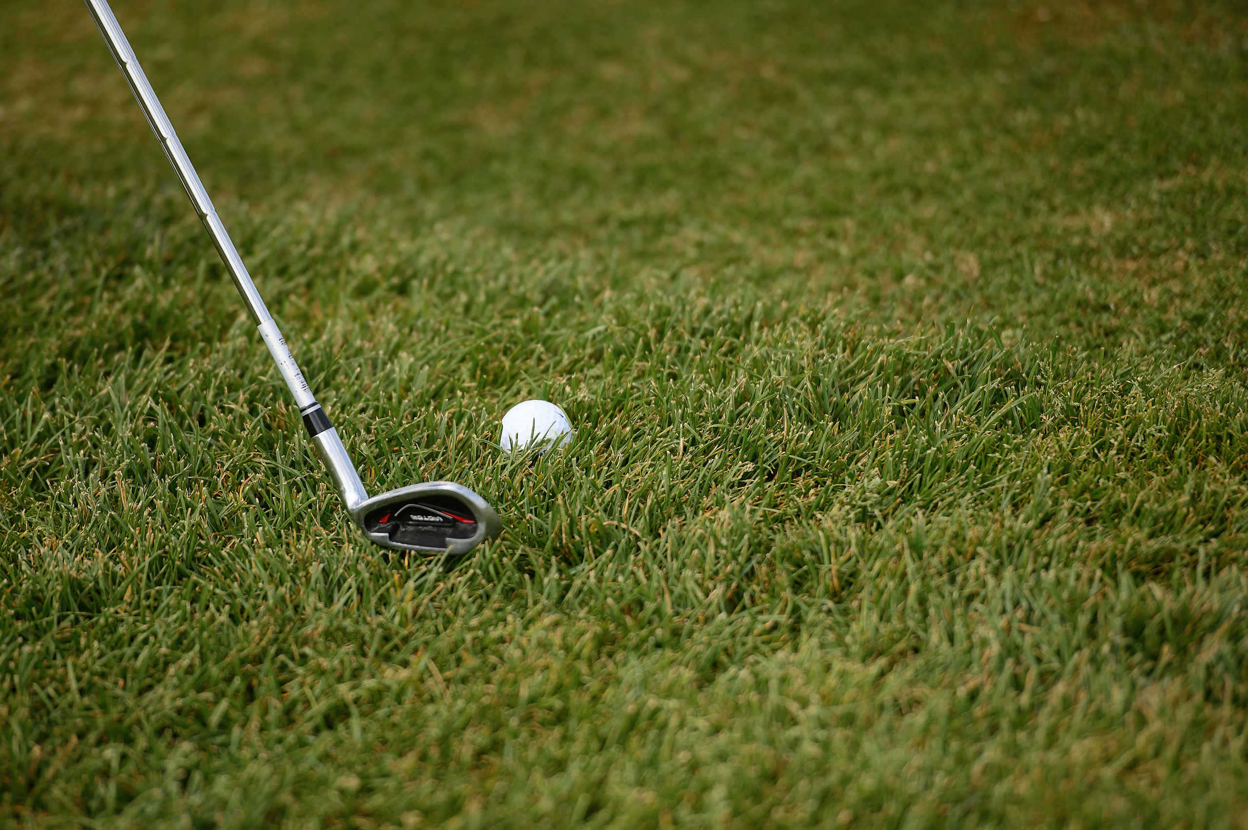 Турнир по гольфу в клубе Gorki Golf. Свадебный и репортажный фотограф в Санкт-Петербурге Ольга Волкова