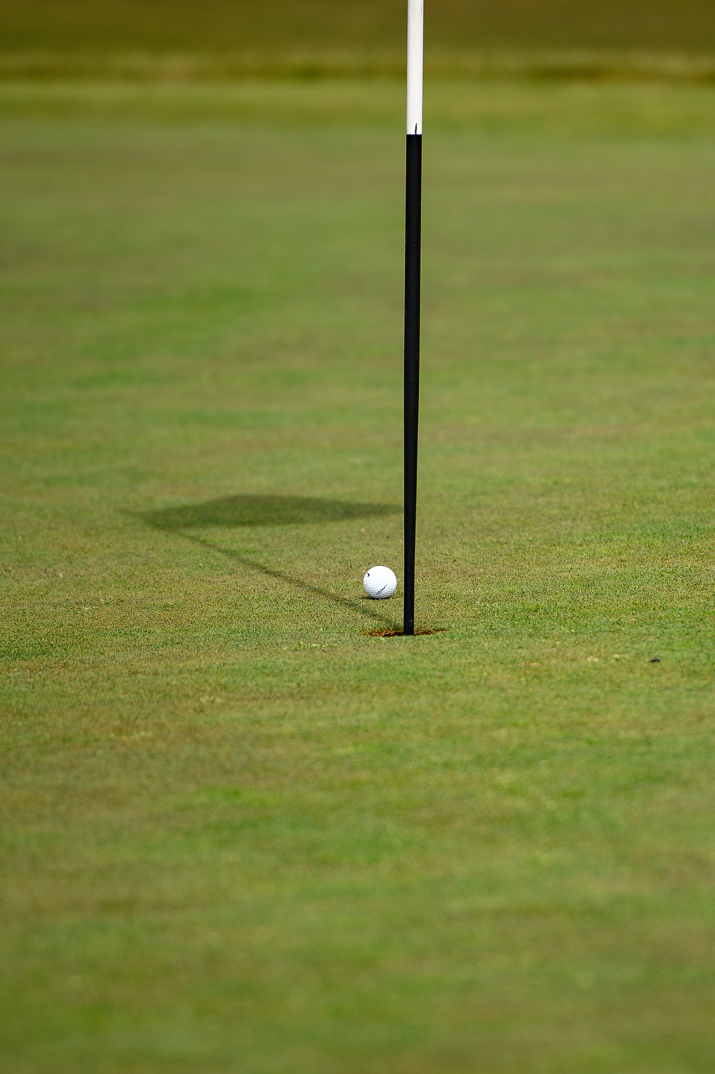 Турнир по гольфу в клубе Gorki Golf. Свадебный и репортажный фотограф в Санкт-Петербурге Ольга Волкова