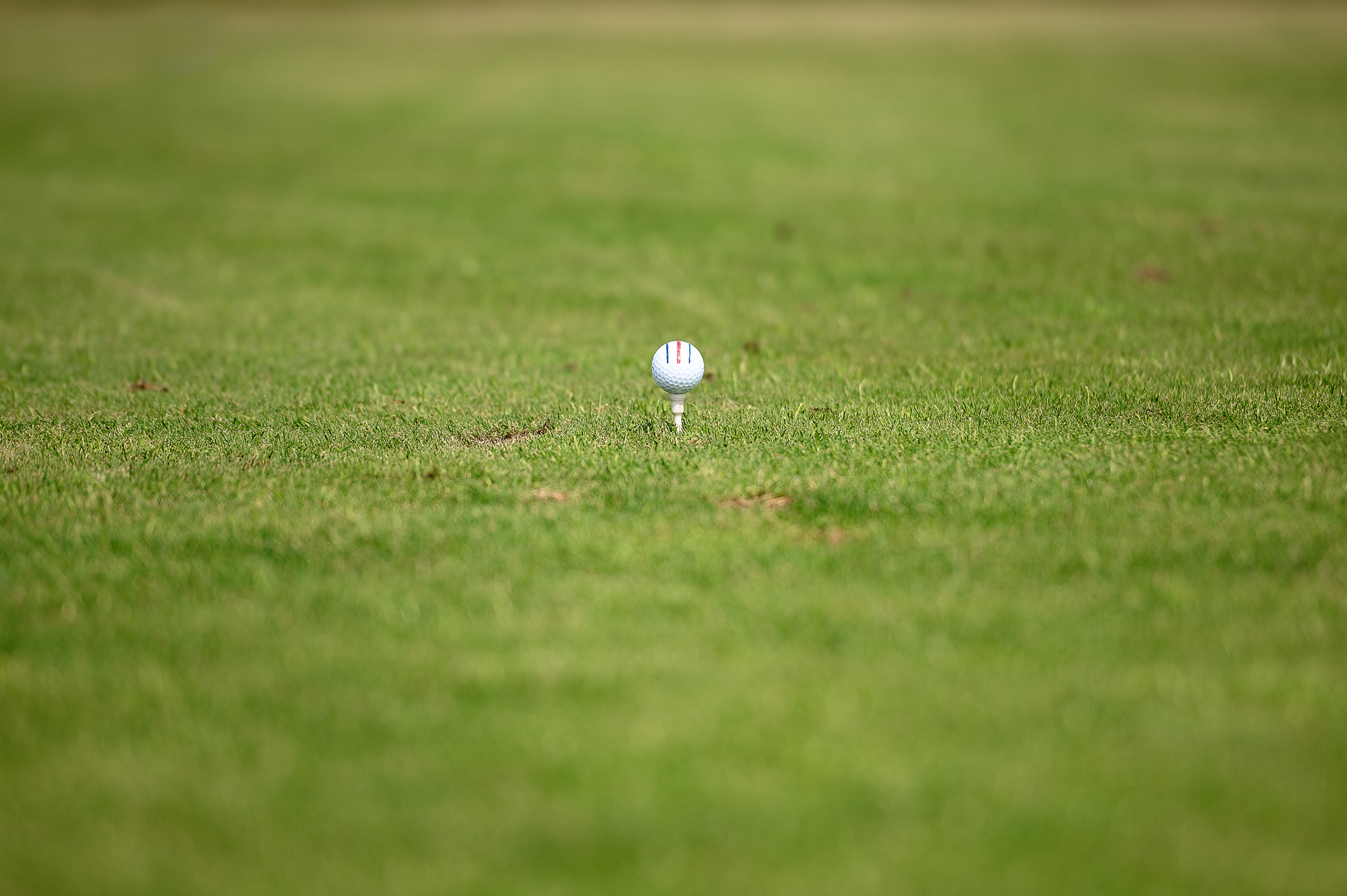 Турнир по гольфу в клубе Gorki Golf. Свадебный и репортажный фотограф в Санкт-Петербурге Ольга Волкова