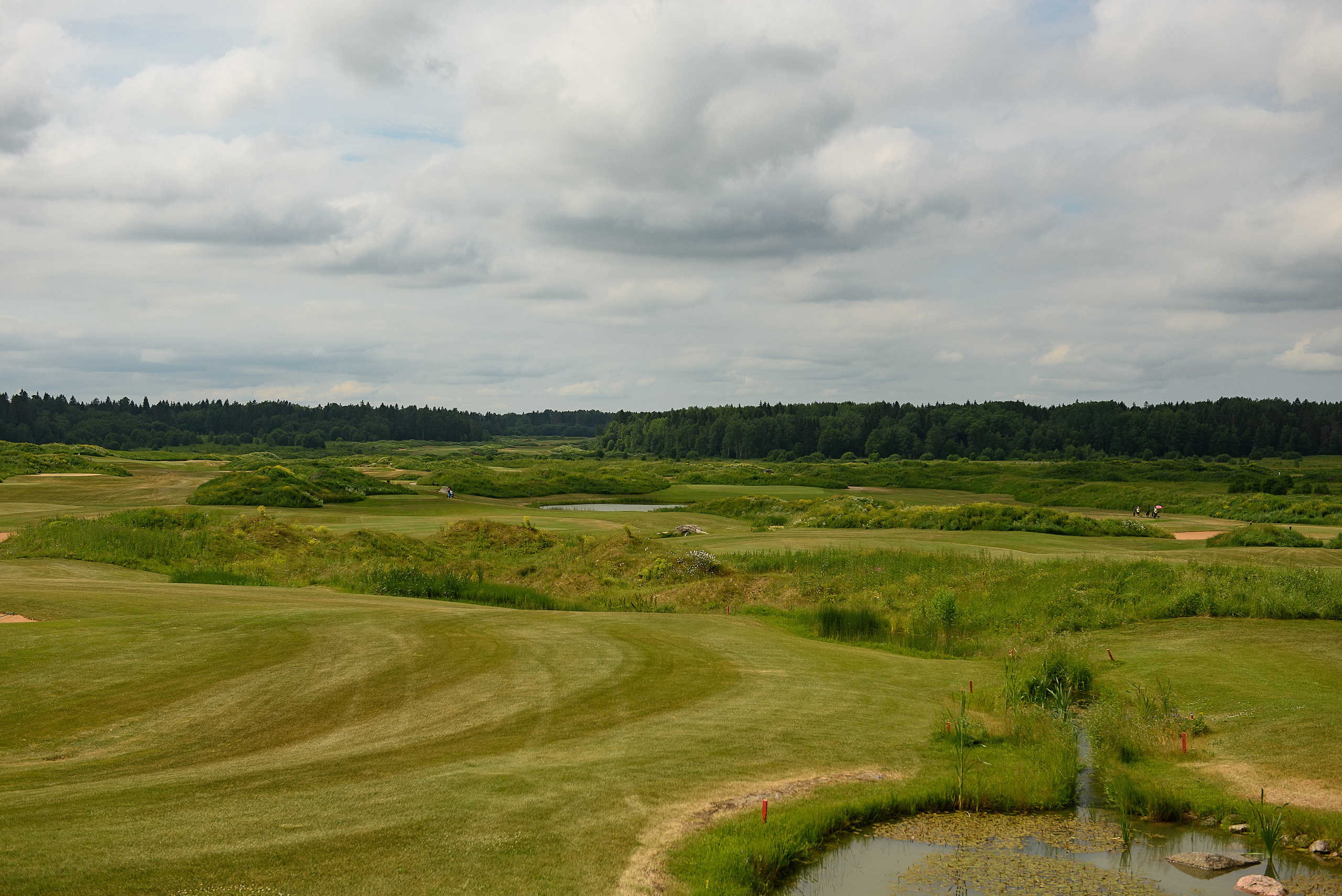 Турнир по гольфу в клубе Gorki Golf. Свадебный и репортажный фотограф в Санкт-Петербурге Ольга Волкова