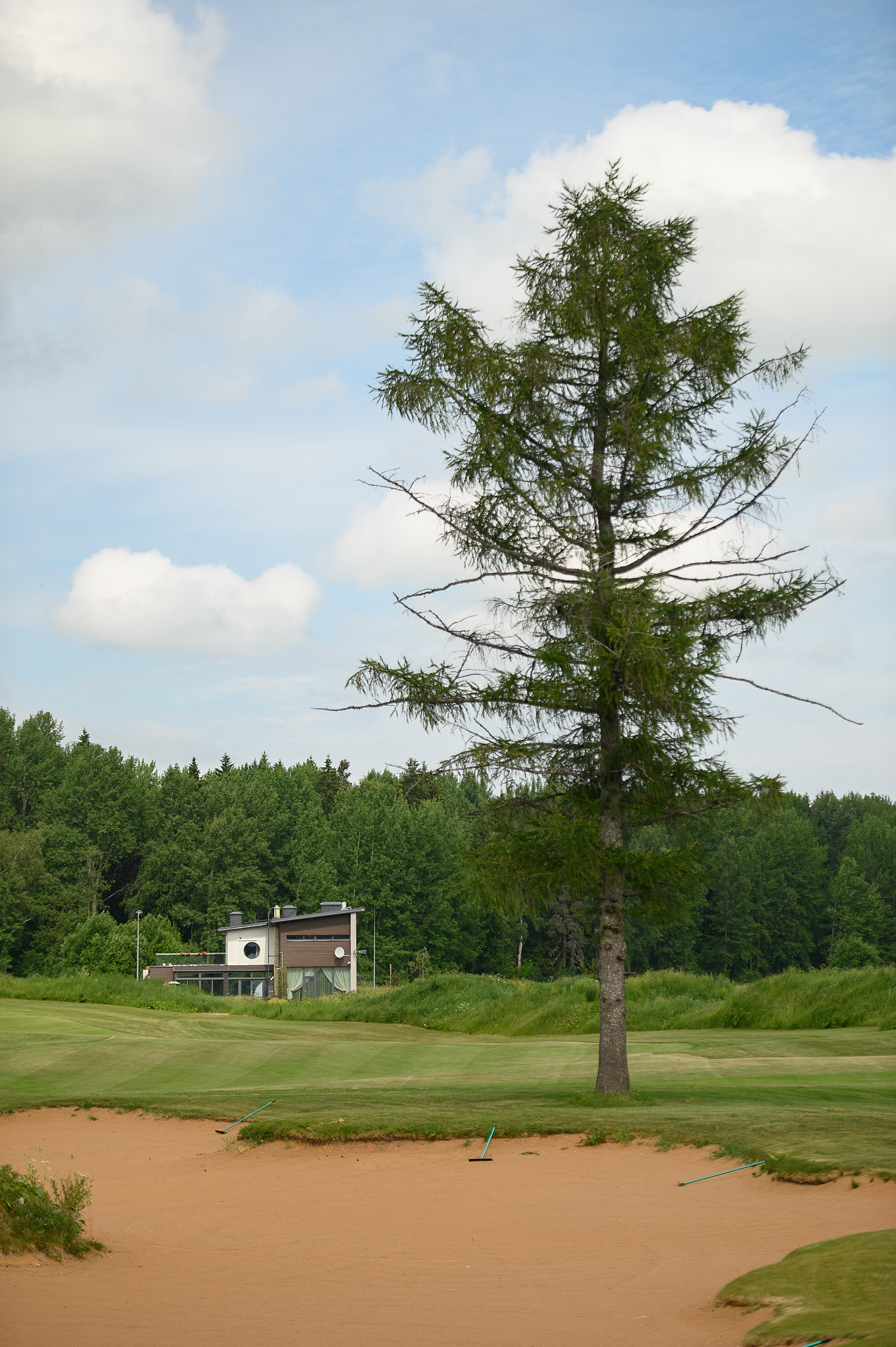 Турнир по гольфу в клубе Gorki Golf. Свадебный и репортажный фотограф в Санкт-Петербурге Ольга Волкова