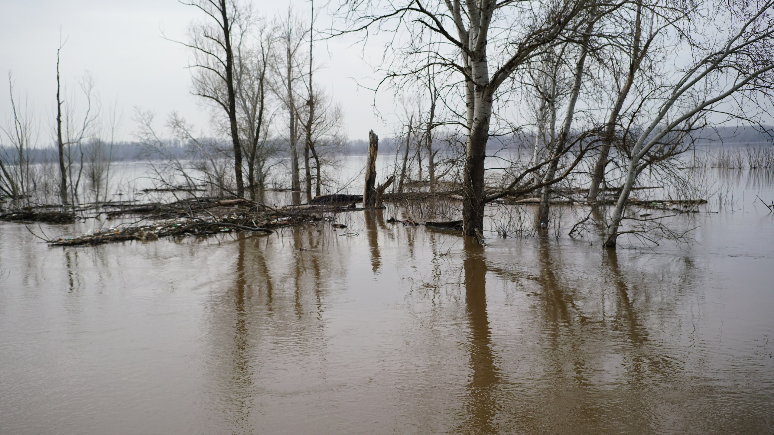 Submerged conflicts. Documentary photographer, film maker and storyteller