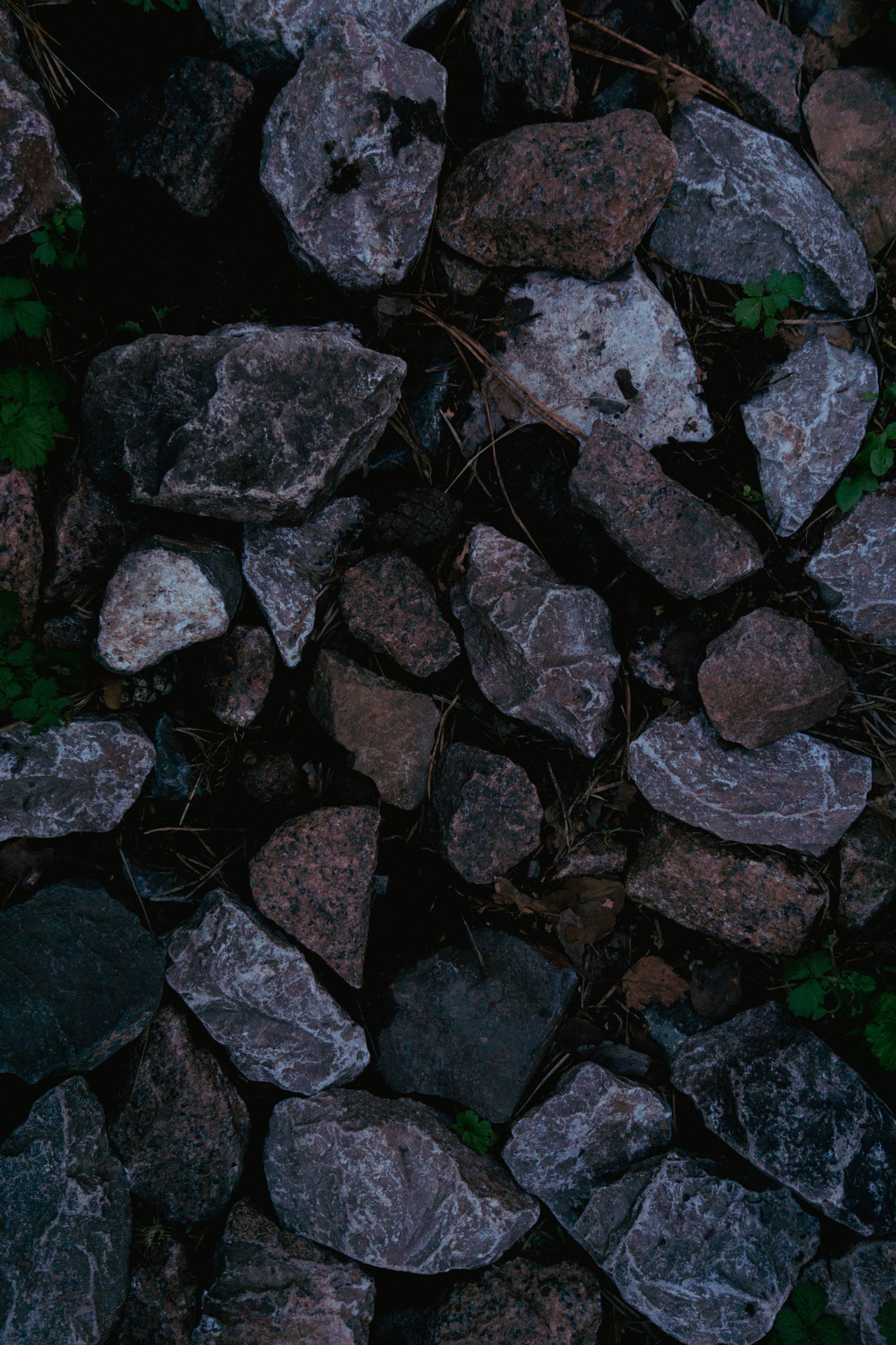 31.07.2025 | Красноярск. Kuznetsov | Фотограф в Красноярске