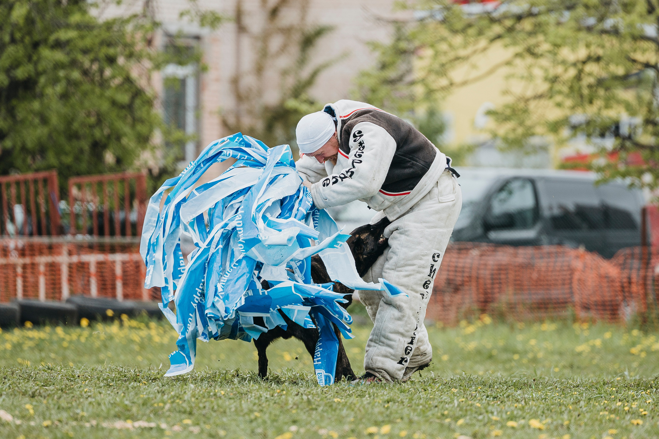 26.05.25 г. Пушкин квалификационные соревнования. Фотограф-анималист Анна Маринич