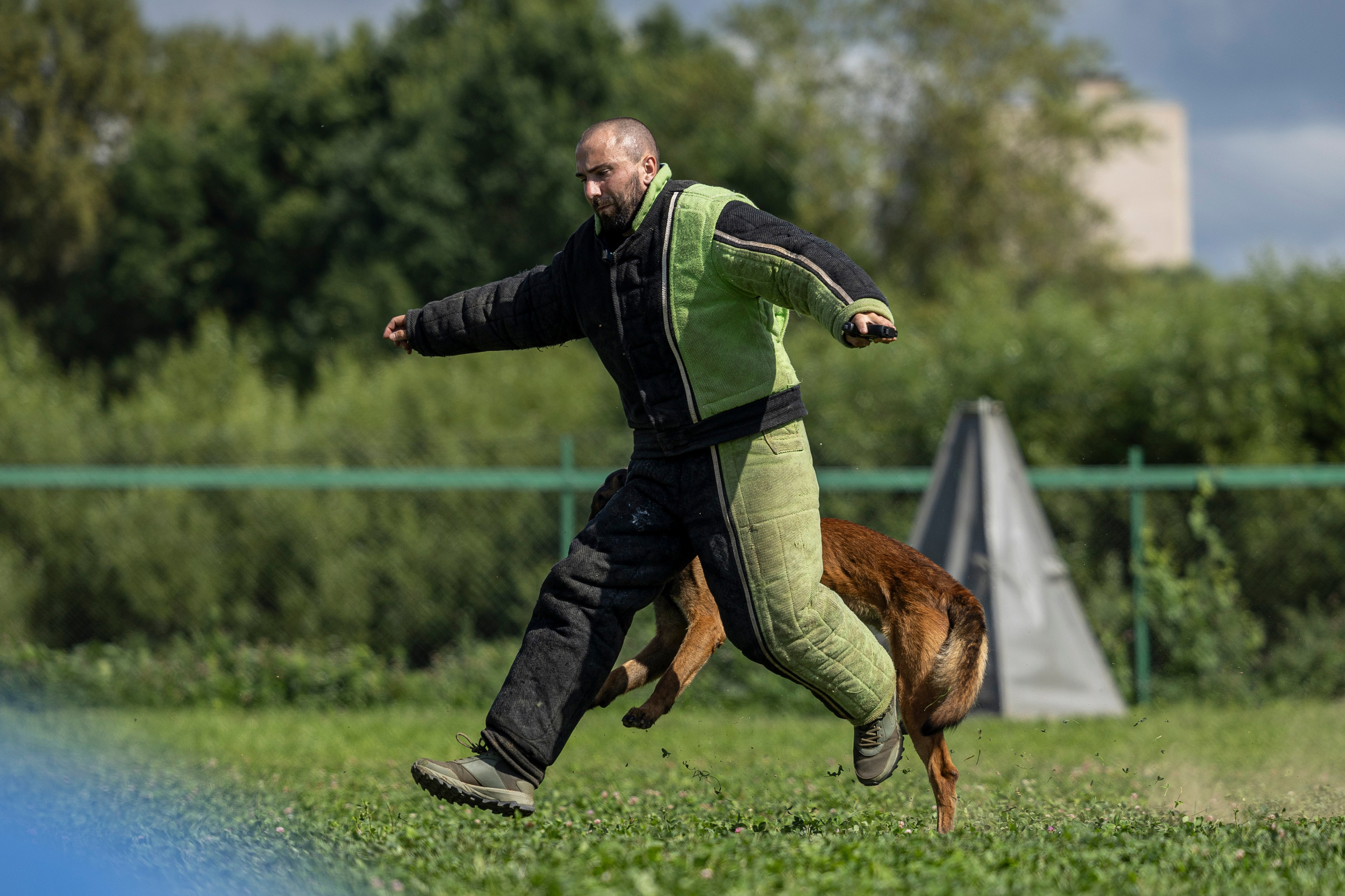Соревнования по Мондьорингу г. Вологда 10-11.08.2024. Фотограф-анималист Анна Маринич