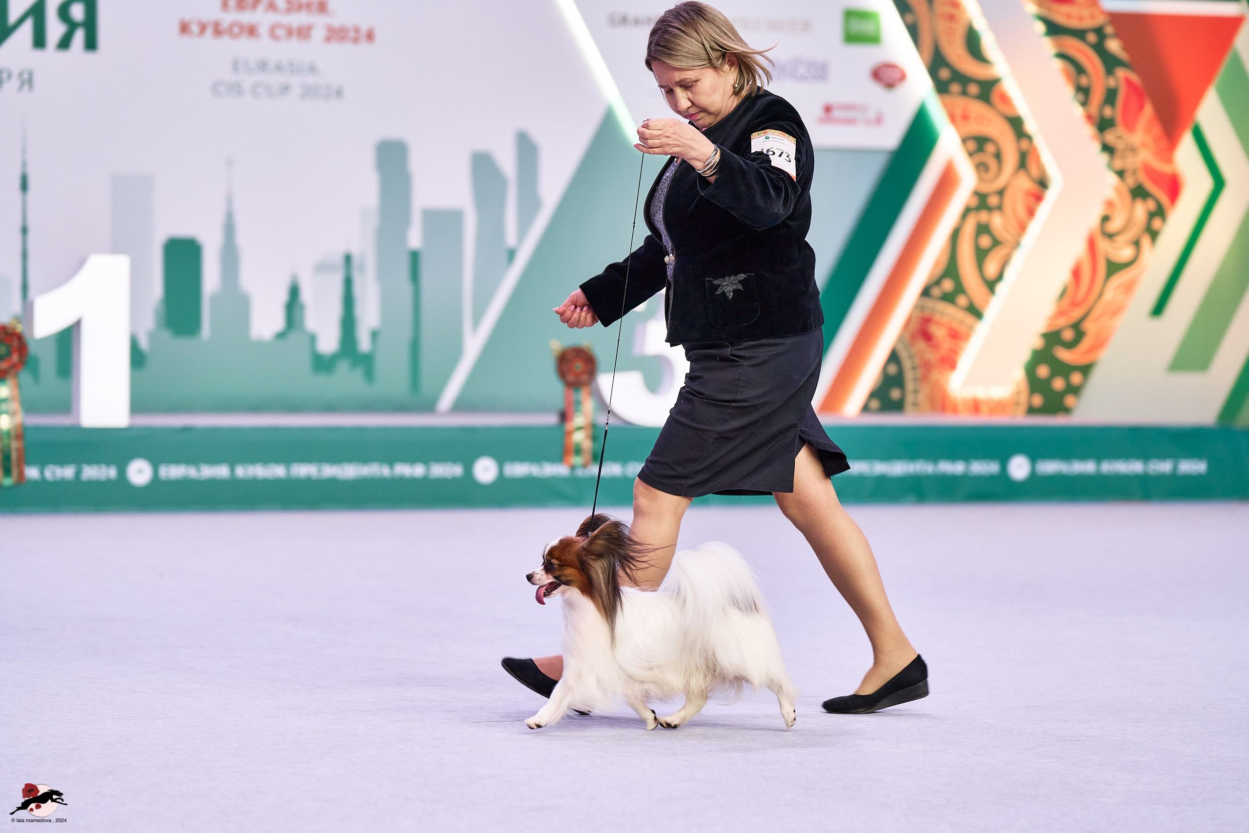 17.11.2024 «ЕВРАЗИЯ. КУБОК СНГ 2024»