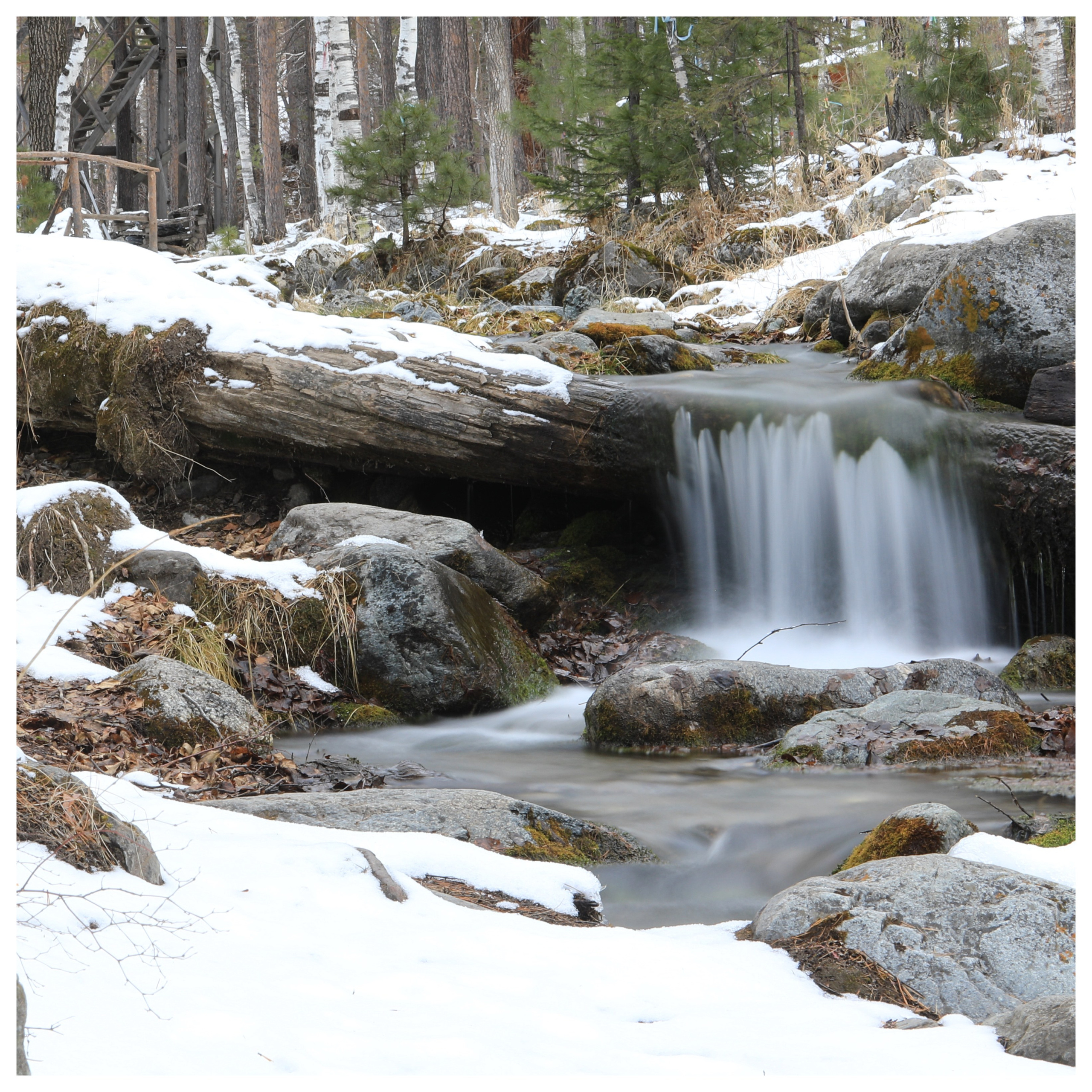 2020. Тащилин Сергей. Фотографии. Жизнь. Хобби
