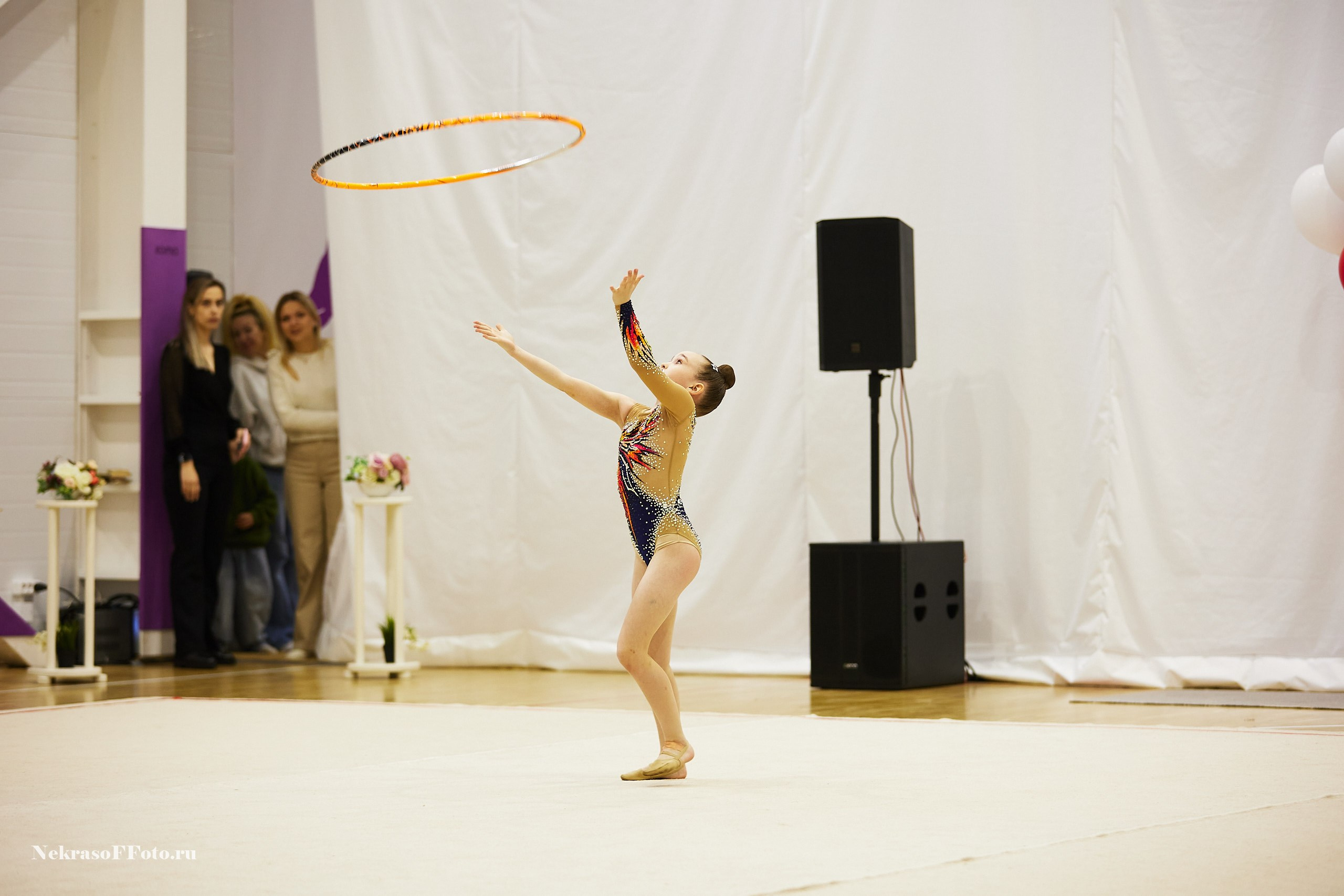 Художественная гимнастика. Спортивный фотограф Некрасов Денис