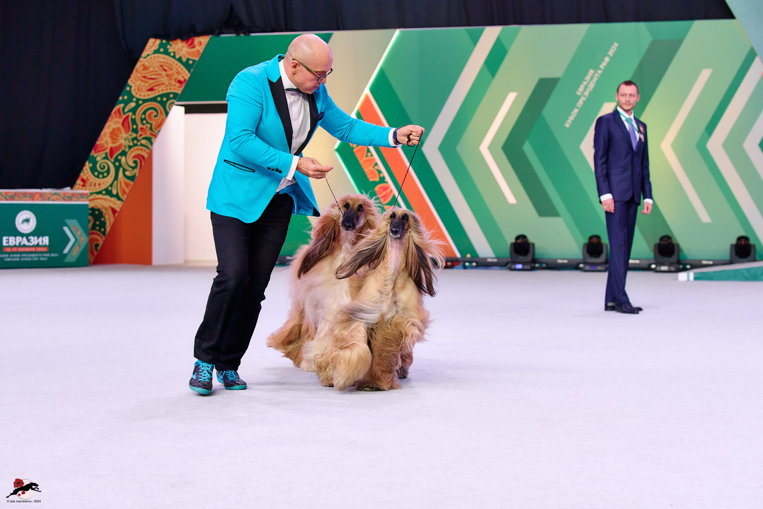 17.11.2024 «ЕВРАЗИЯ. КУБОК СНГ 2024»