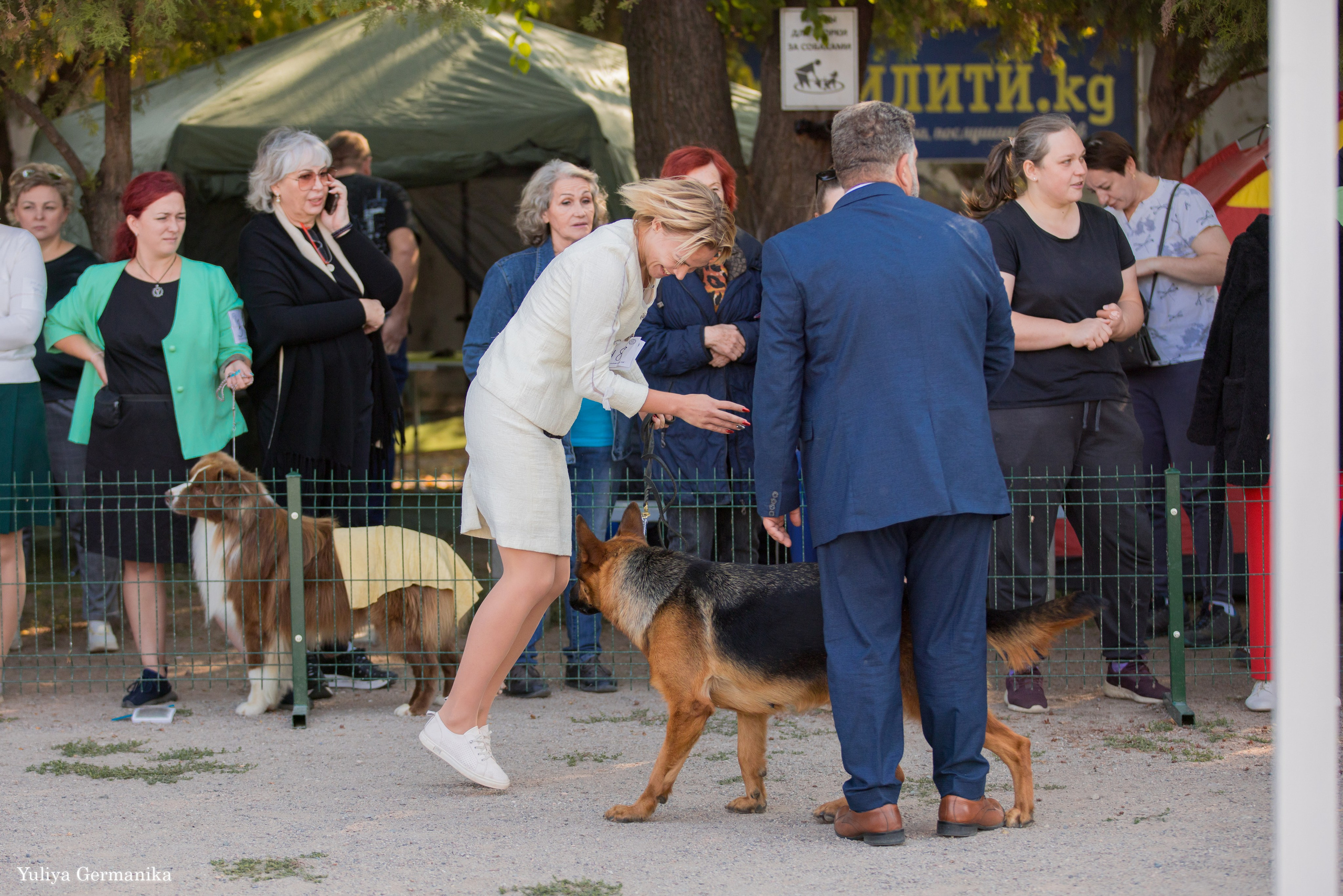 Бишкек 29.09-01.10.2023. Фотограф-анималист Юлия Германика