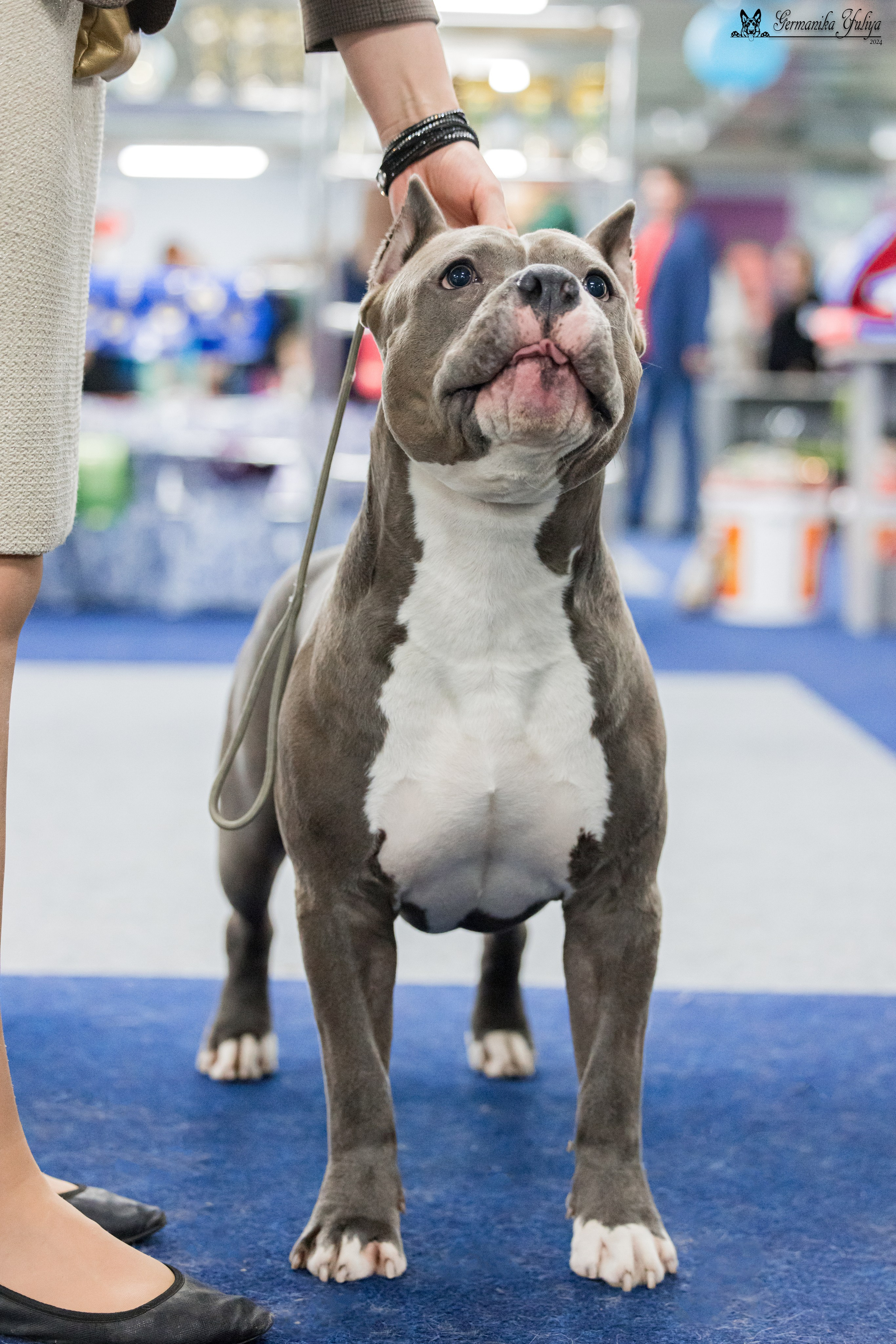 Сфера 28.01. и 4.02.2024. Фотограф-анималист Юлия Германика