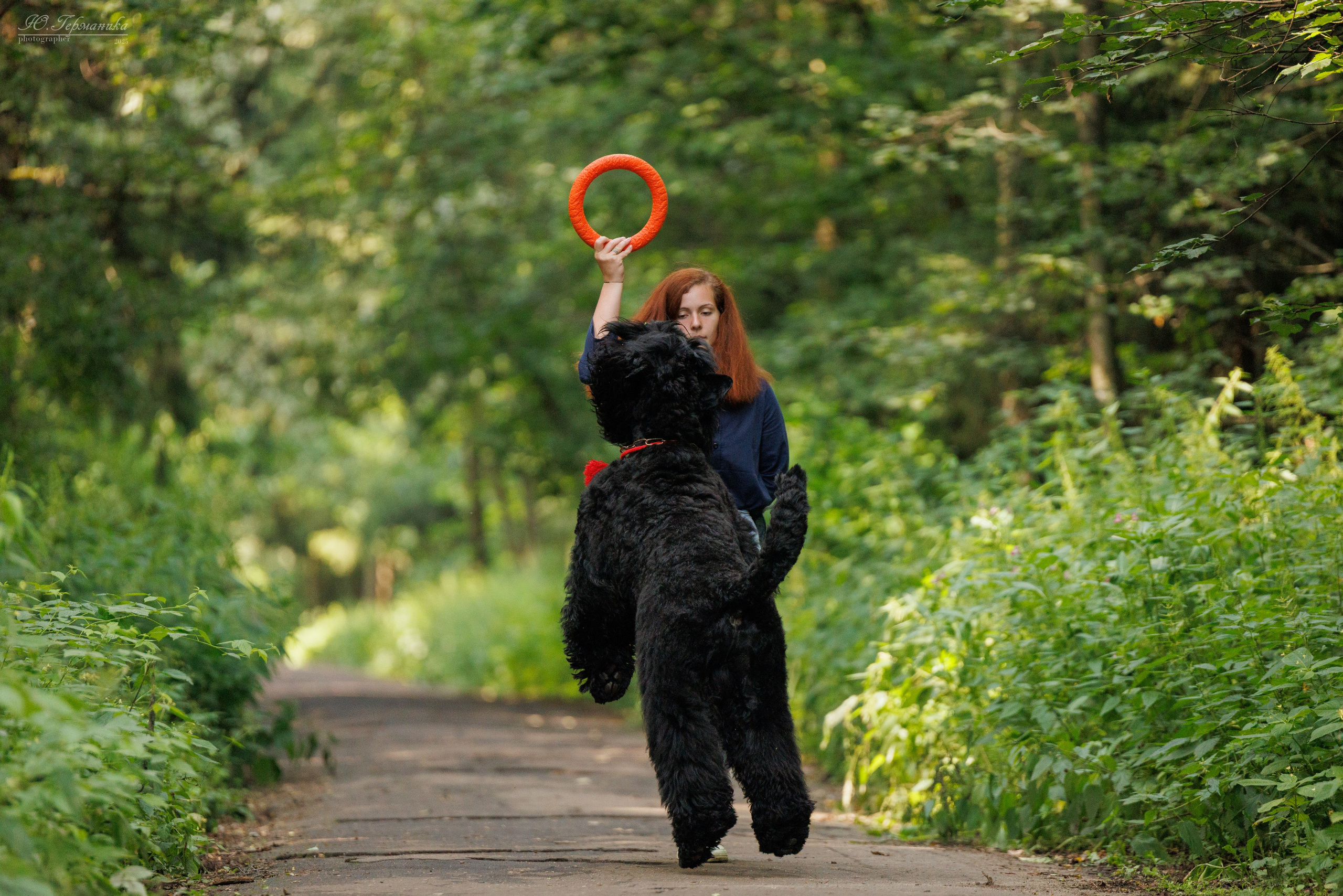 Фотосет Бригада УХ)). Фотограф-анималист Юлия Германика