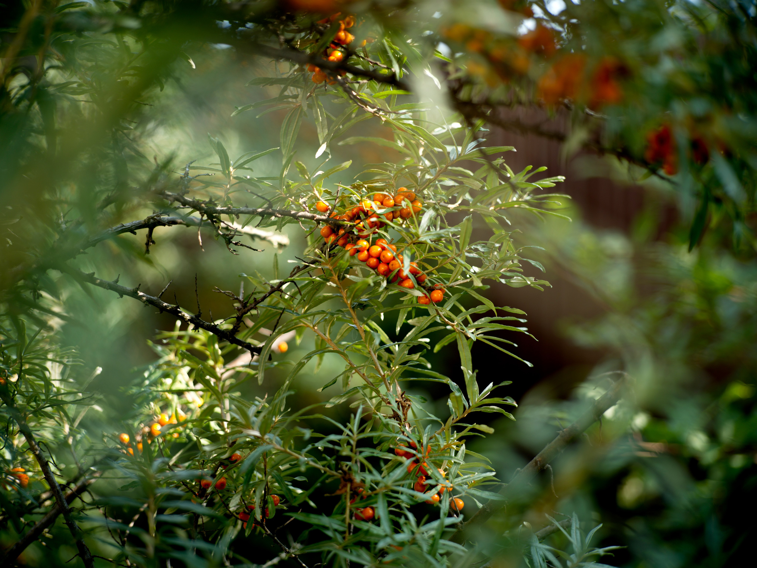 Портретный и репортажный фотограф в Санкт-Петербурге Алексей Гончаров