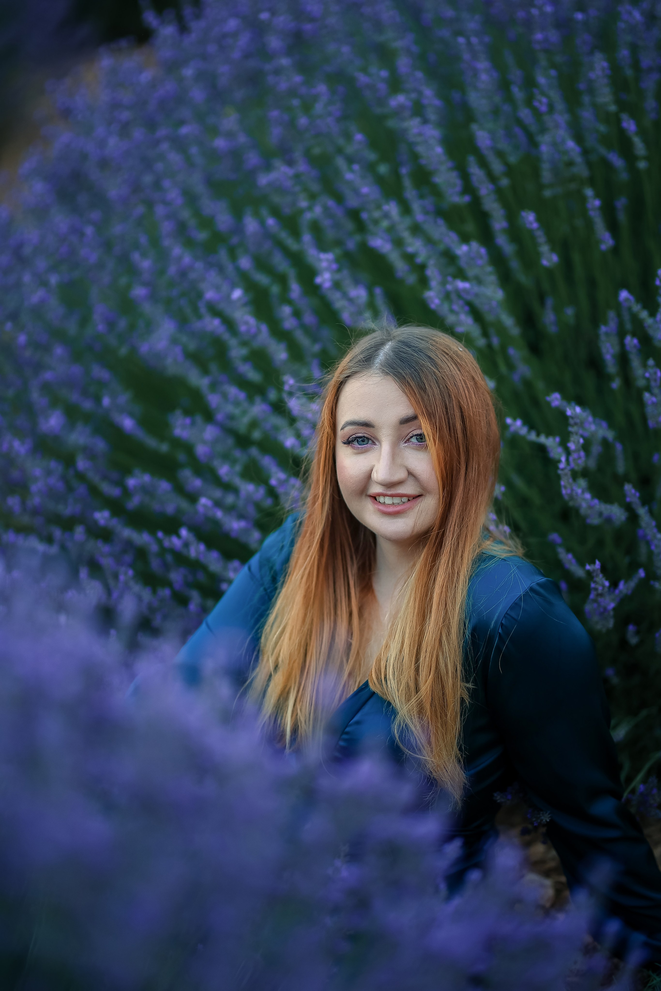Lavender fields in Turkey