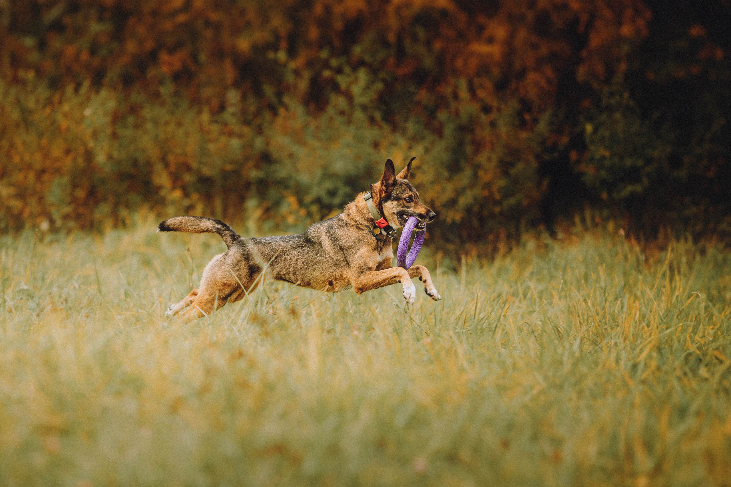 Аня, Нео и Луна